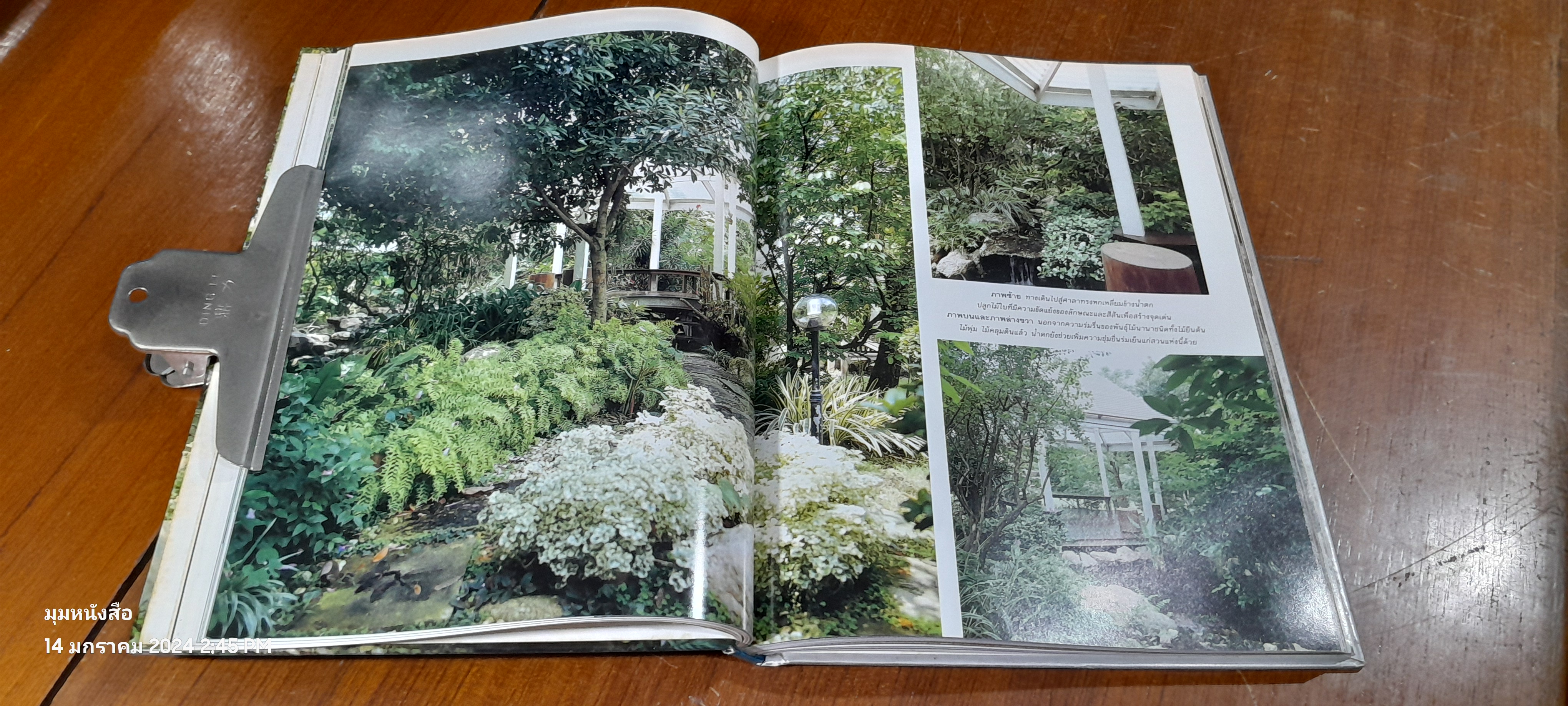 คอลเล็คชั่น แอนด์ เฮาส์ : GARDEN AND HOME ฉบับพิเศษ