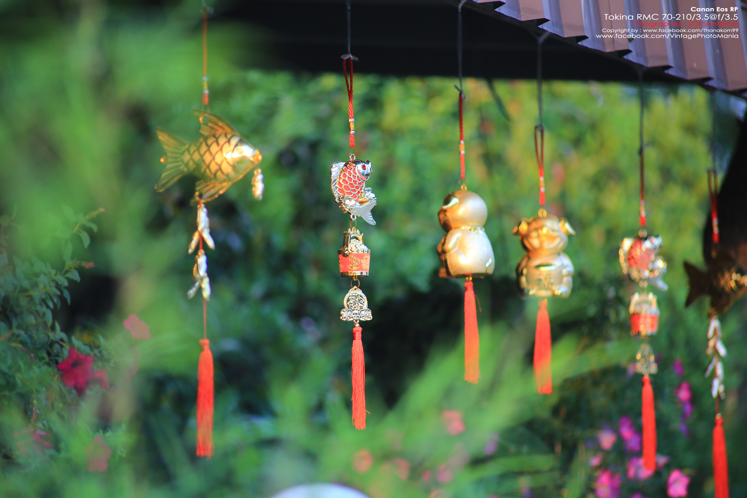 Tokina RMC 70-210/3.5 *Nikon Ai-S Mount เลนส์ไวแสงคมๆโบเก้สวย