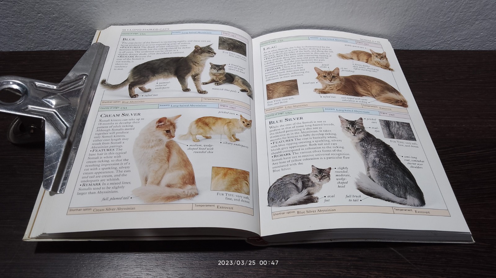 CATS / David Alderton