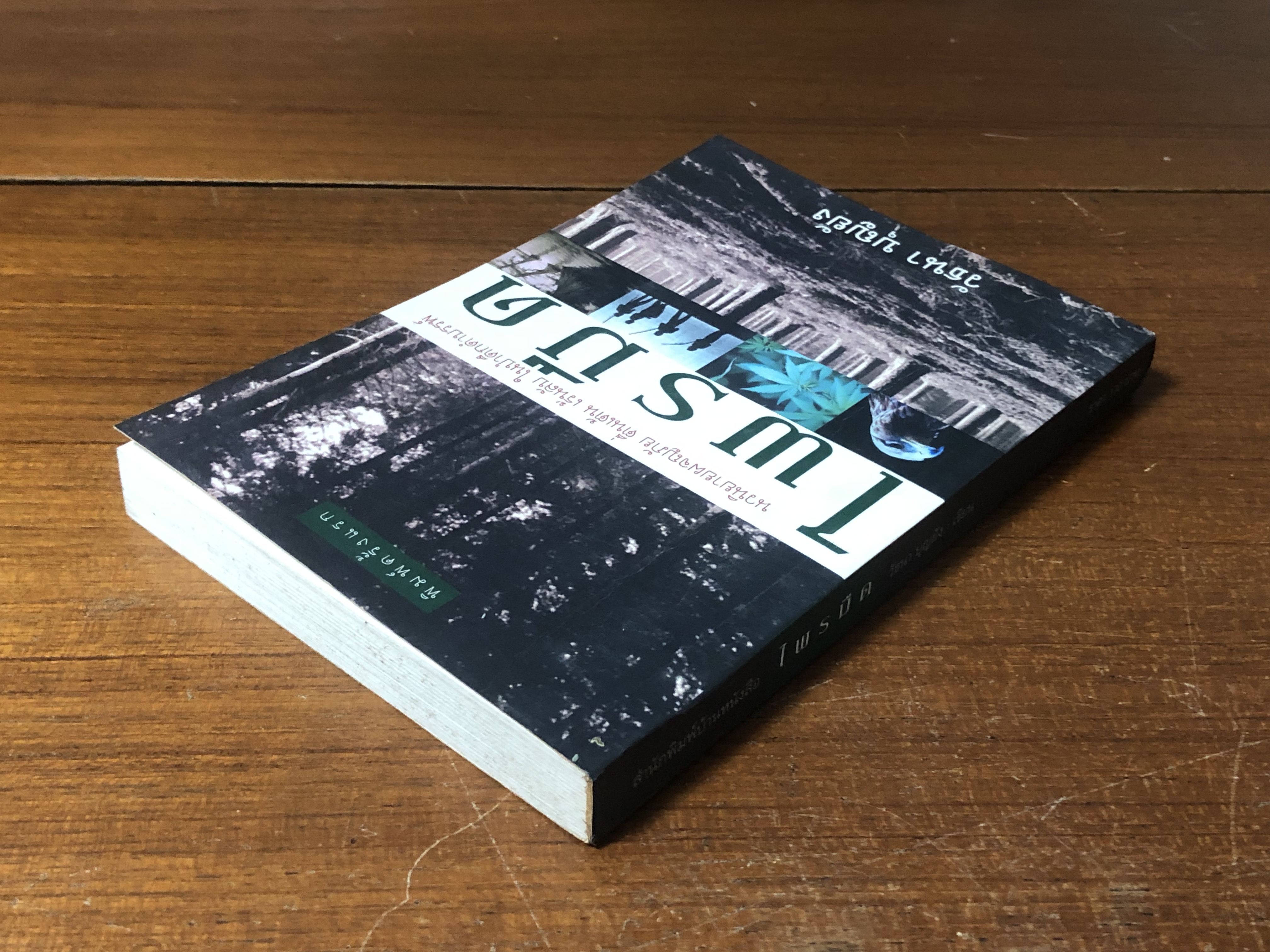 ไพรมืด / วัธนา บุญยัง (มีรอยโดนน้ำ)