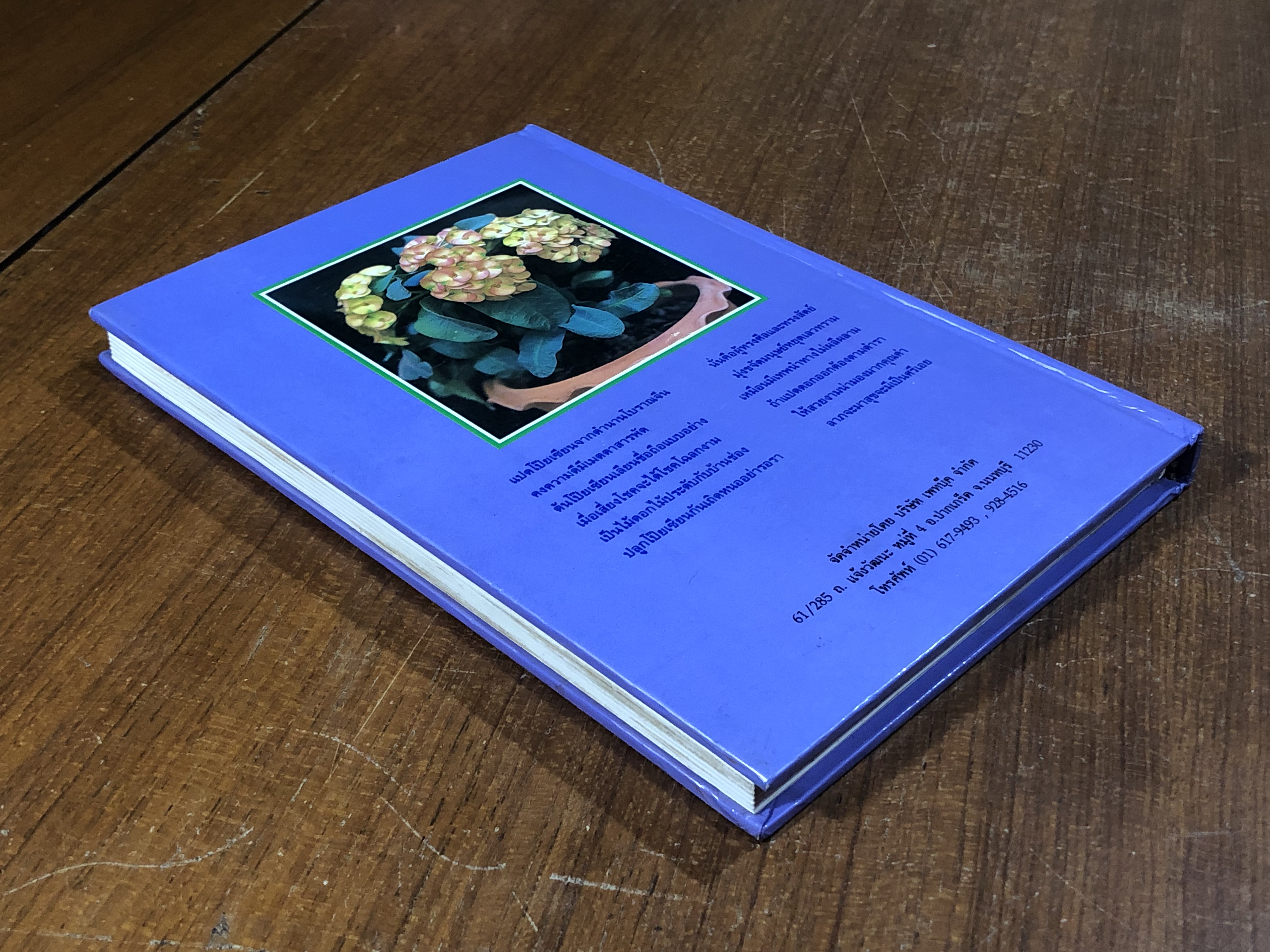 โป๊ยเซียน ไม้ดอกเสี่ยงทาย ไม้แห่งโชคลาภ / ไพโรจน์ จักรวาลชัย