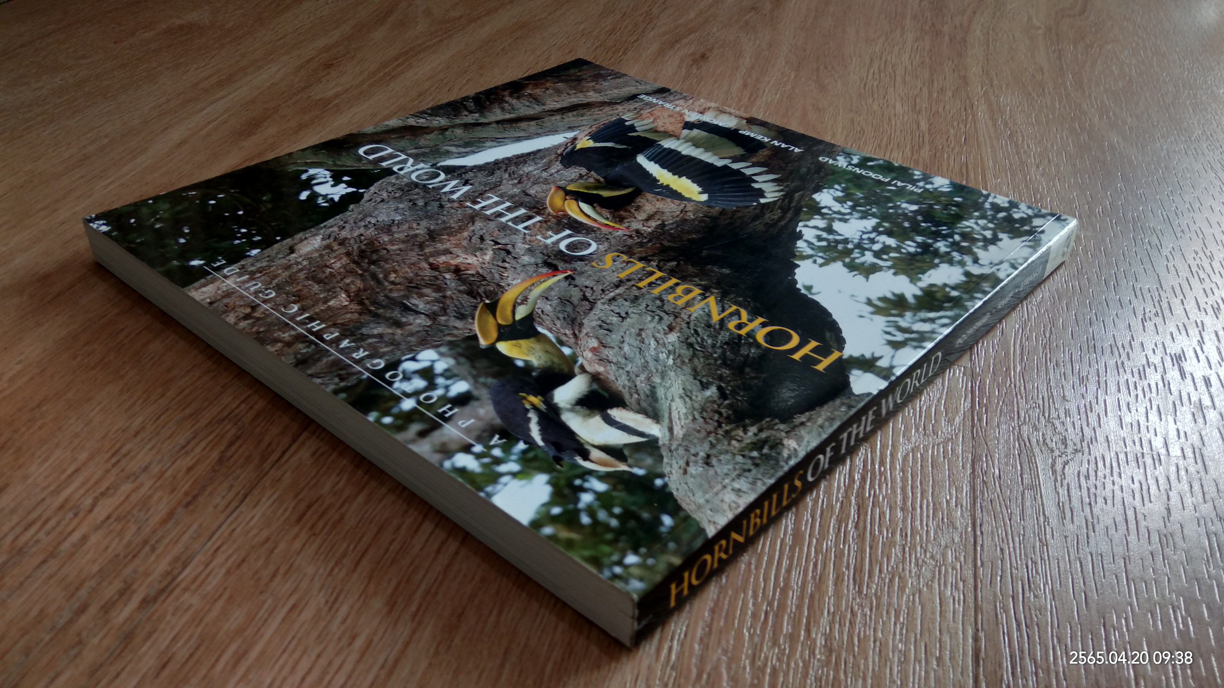 HORNBILLS OF THE WORLD / Poonswad, Pilai, Alan Kemp, Morten Strange