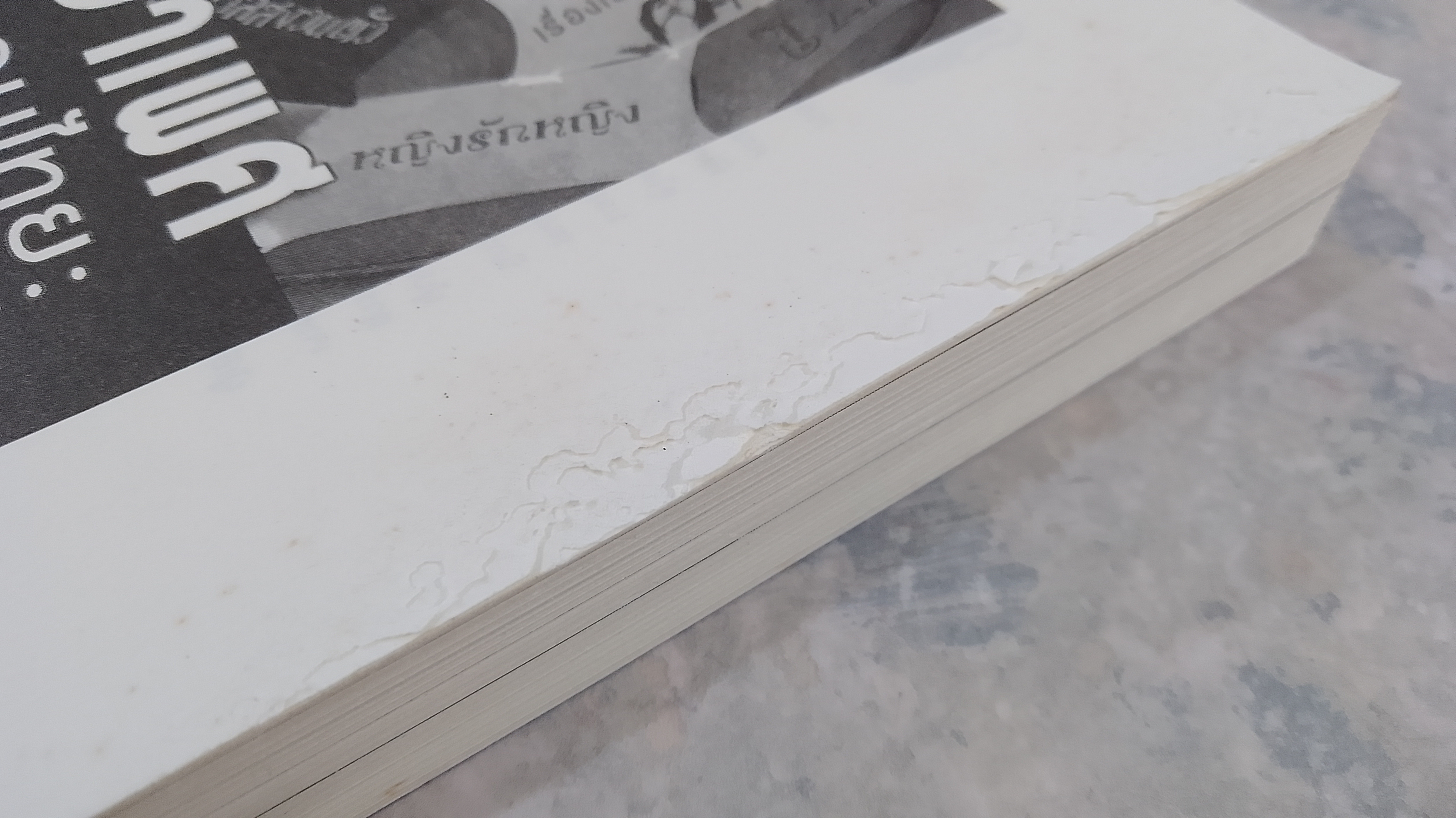 ภาษาเพศในสังคมไทย : อำนาจ สิทธิ และสุขภาวะทางเพศ (สภาพไม่สมบูรณ์) / พิมพวัลย์ บุญมงคล