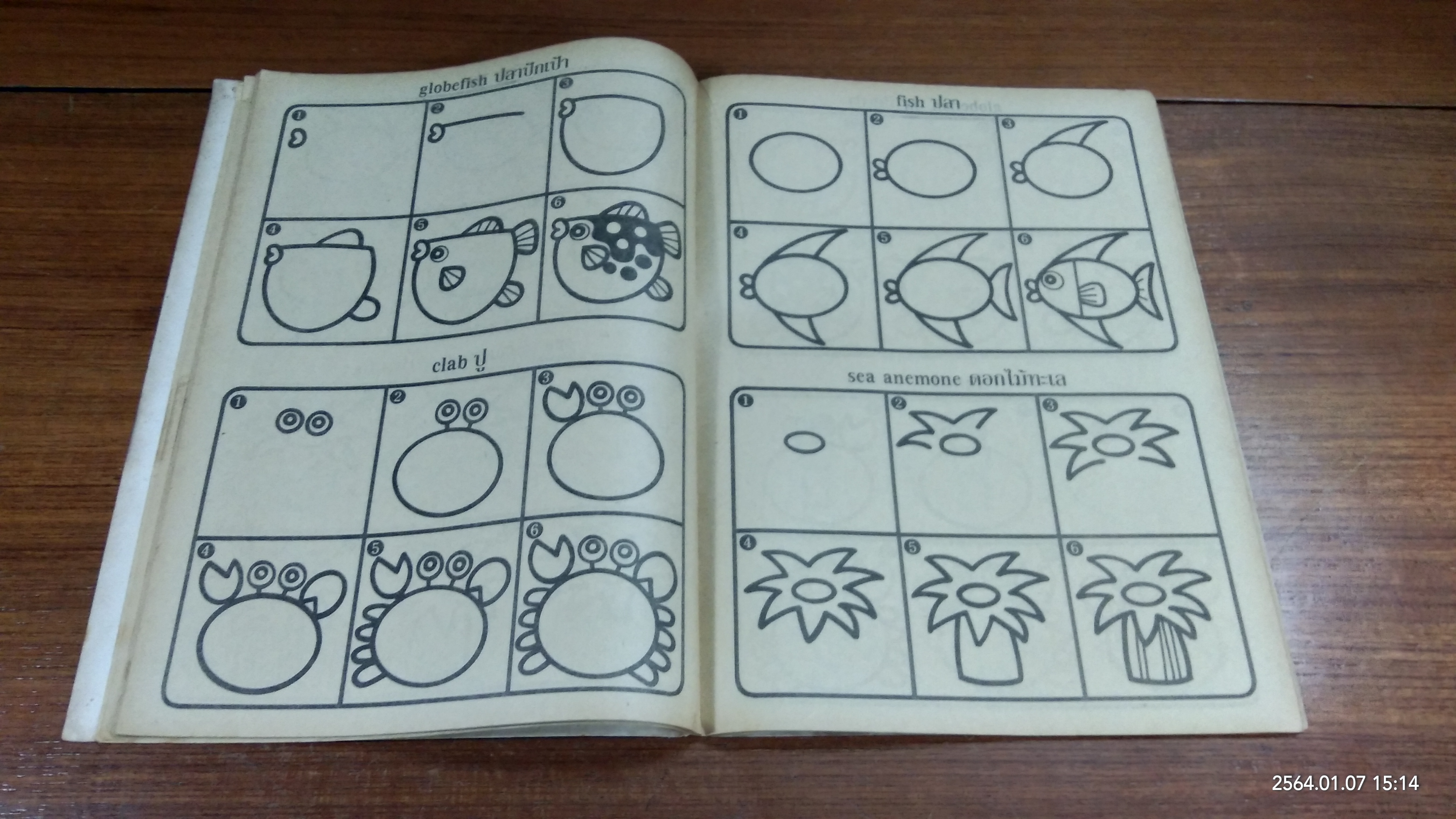 หัดวาดการ์ตูนอย่างง่ายๆ : ภาพสัตว์ทะเล