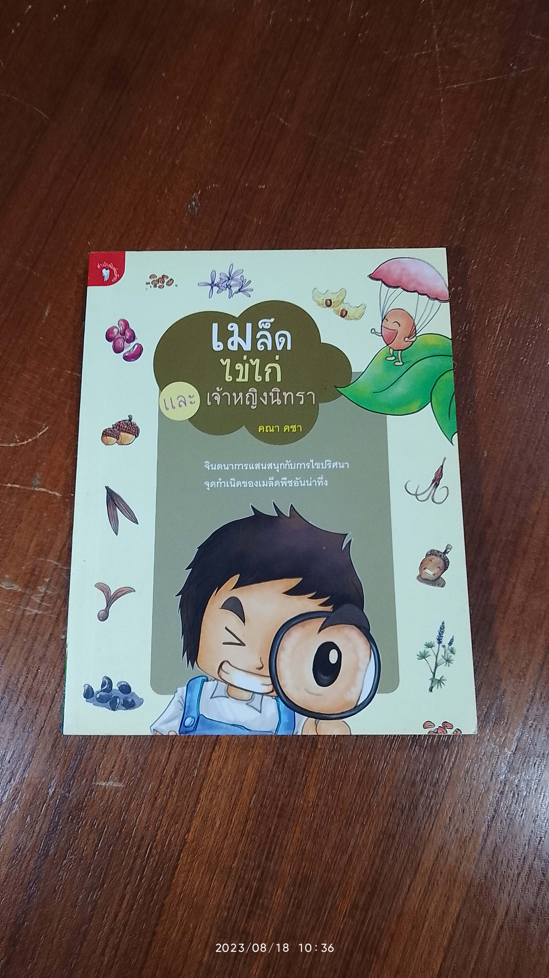 เมล็ด ไข่ไก่ และ เจ้าหญิงนิทรา / คณา คชา