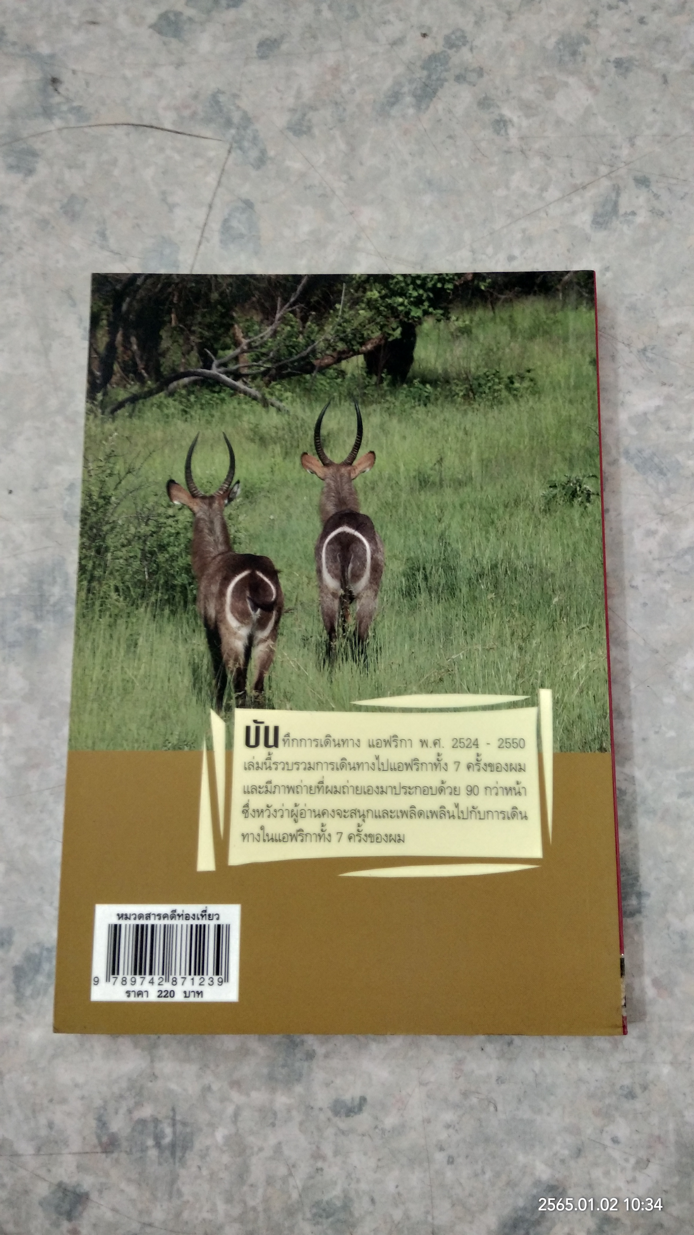 แอฟริกา (พ.ศ.2524 - 2550) / ปองพล อดิเรกสาร