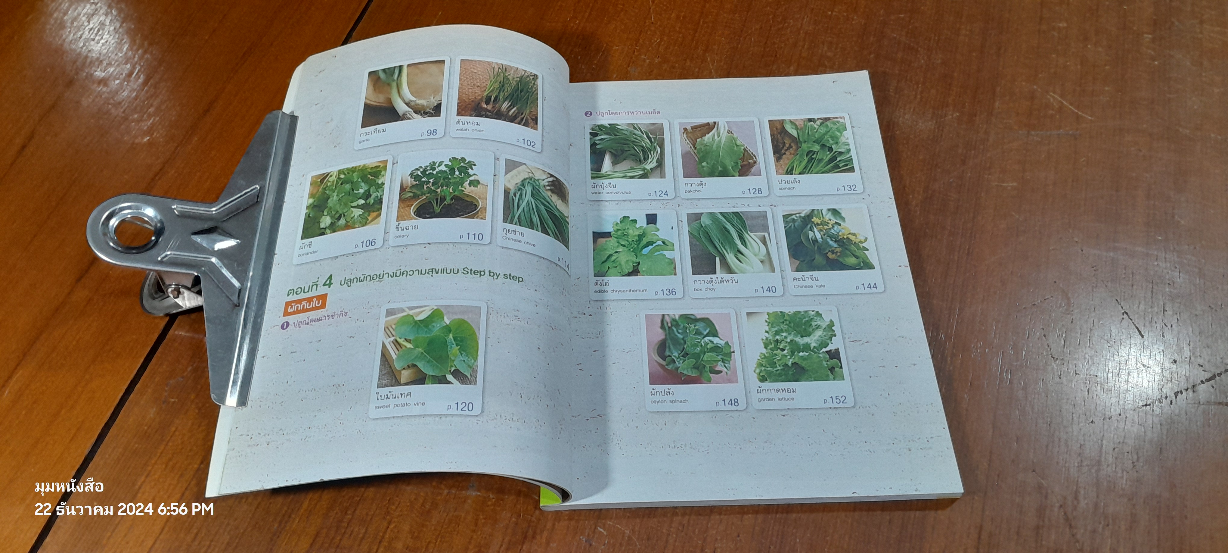 สวนผักในบ้าน กินฟรีทั้งปี / กัณฑมาศ ปาลวัฒน์ แปล