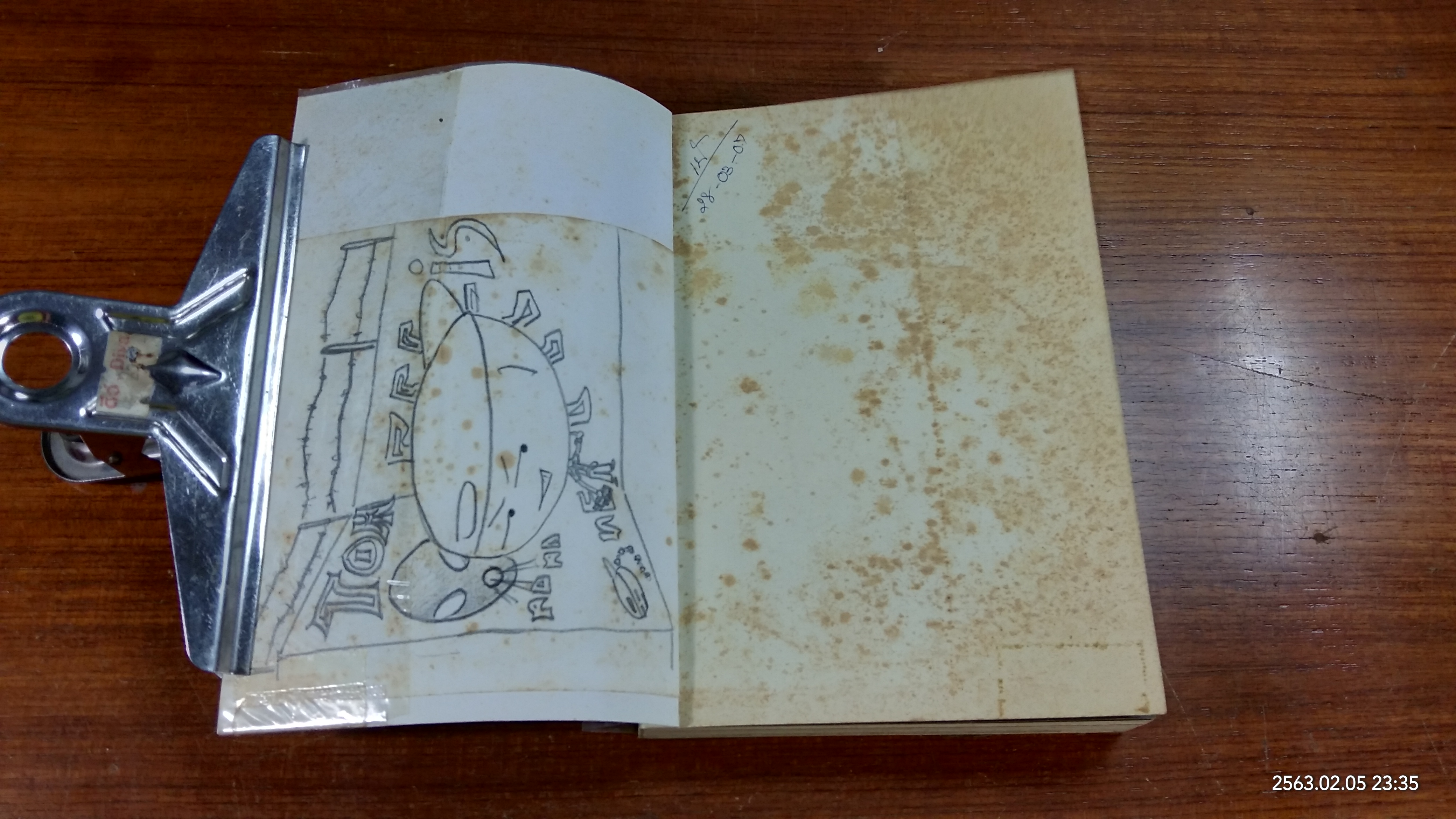 BEANSPROUT & FIREHEAD IN THE INFINITE MADNESS