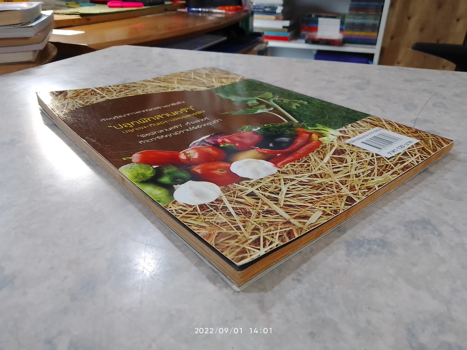 ปลูกผักสวนครัว ปลูกเอง-กินเอง-ปลอดสารพิษ / วารินี ธรรมชาติไพศาล