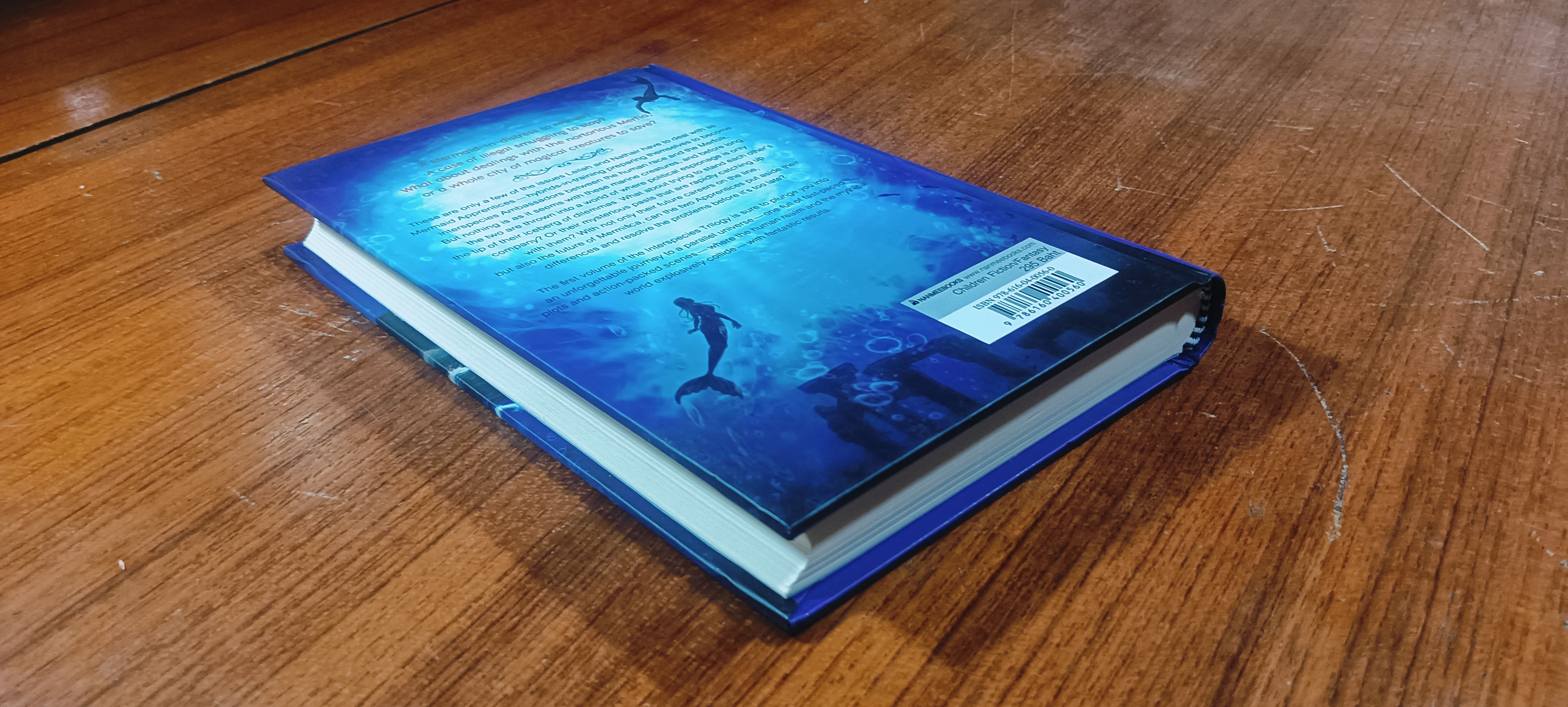 The Mermaid Apprentices / Pieretta Dawn