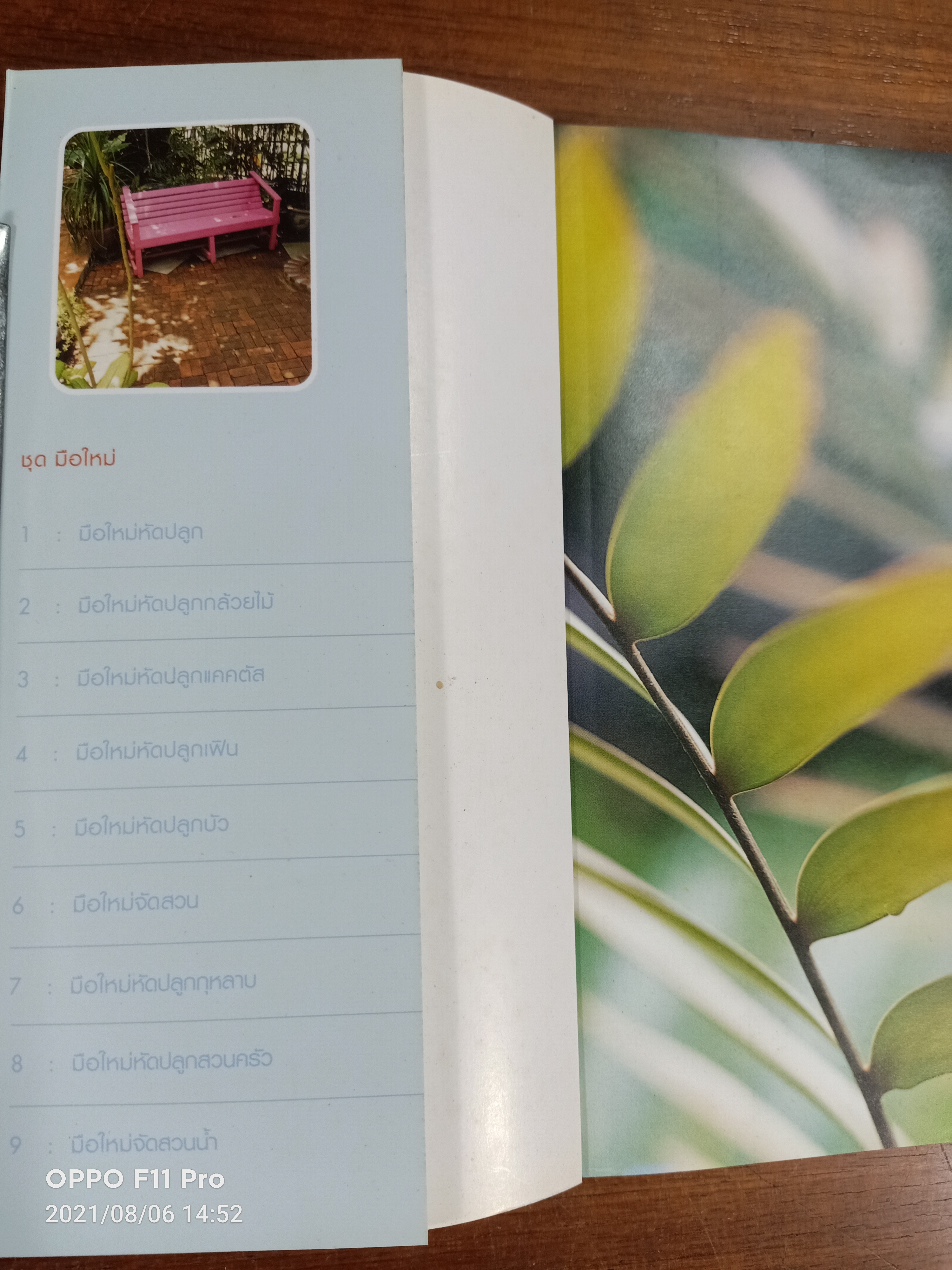 มือใหม่จัดสวน / ทิพาพรรณ ศิริเวชฏารักษ์