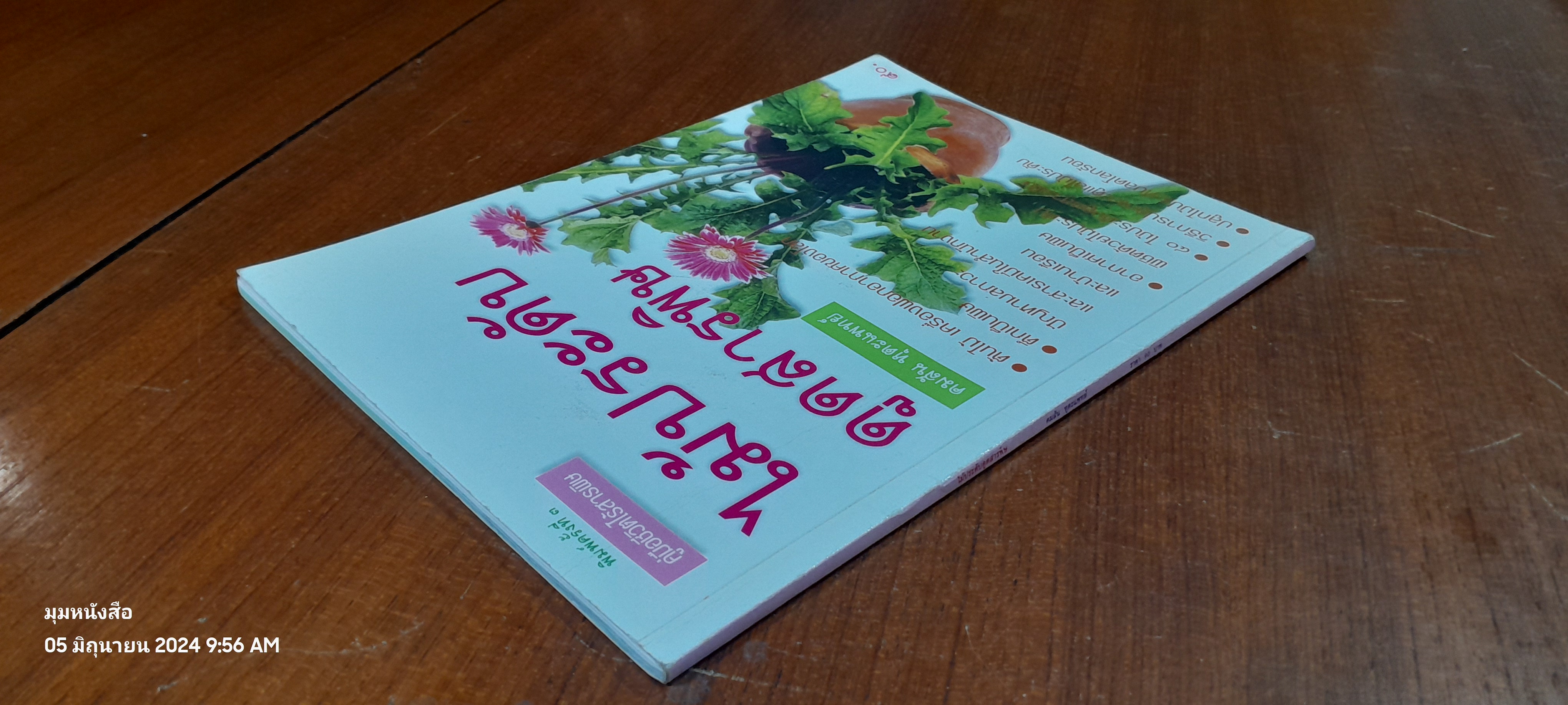 ไม้ประดับดูดสารพิษ ( มีรอยขีดเขียนด้านใน ) / คมสัน หุตะแพทย์