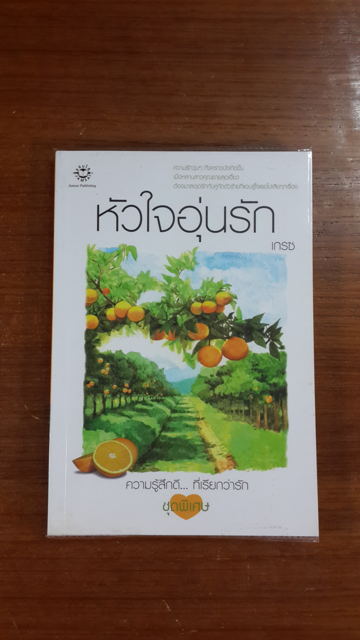 หัวใจอุ่นรัก / เกรซ