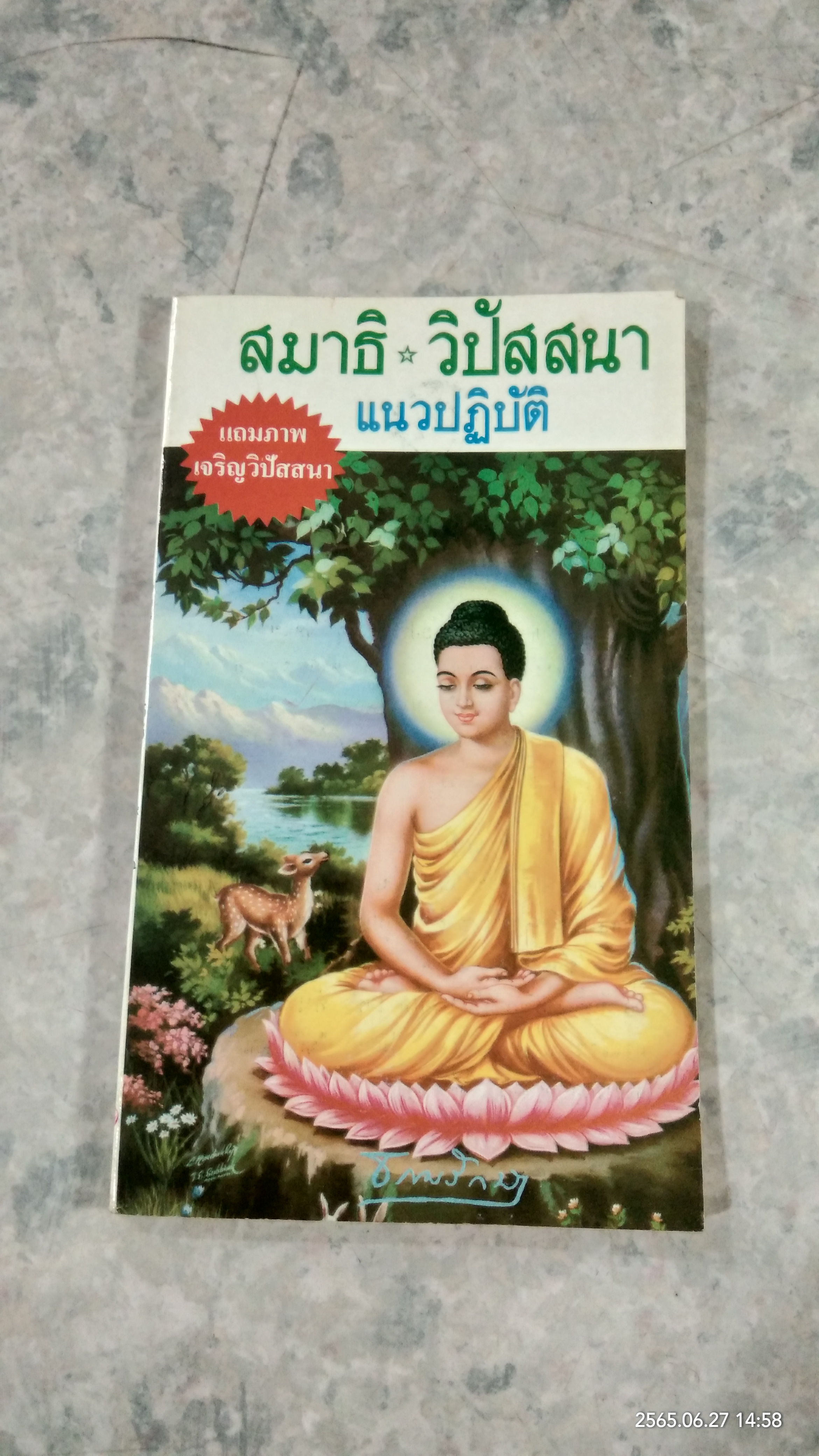 สมาธิ-วิปัสสนา แนวปฏิบัติ / ธรรมรักษา