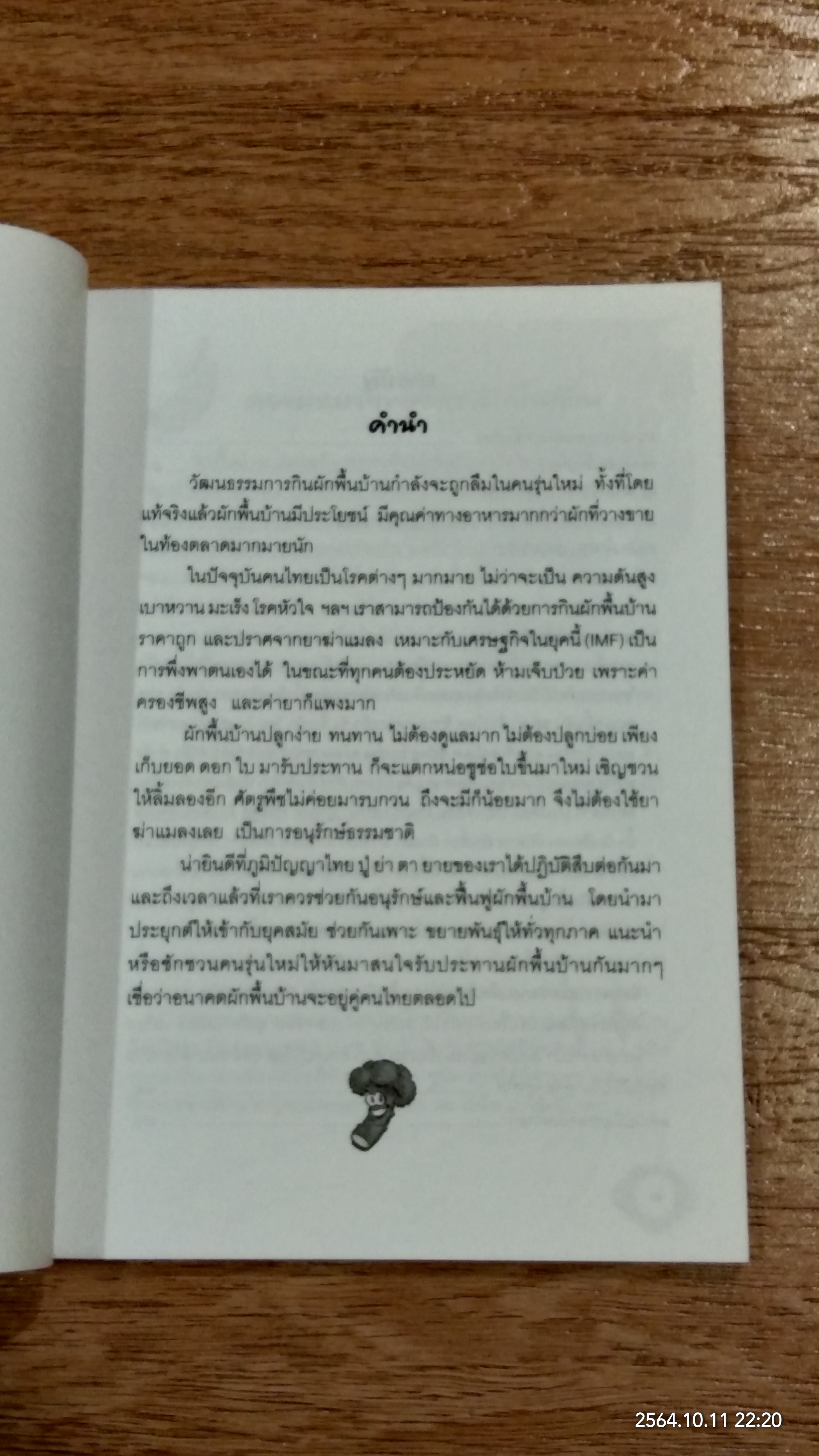 ผักพื้นบ้าน อาหารพื้นเมือง