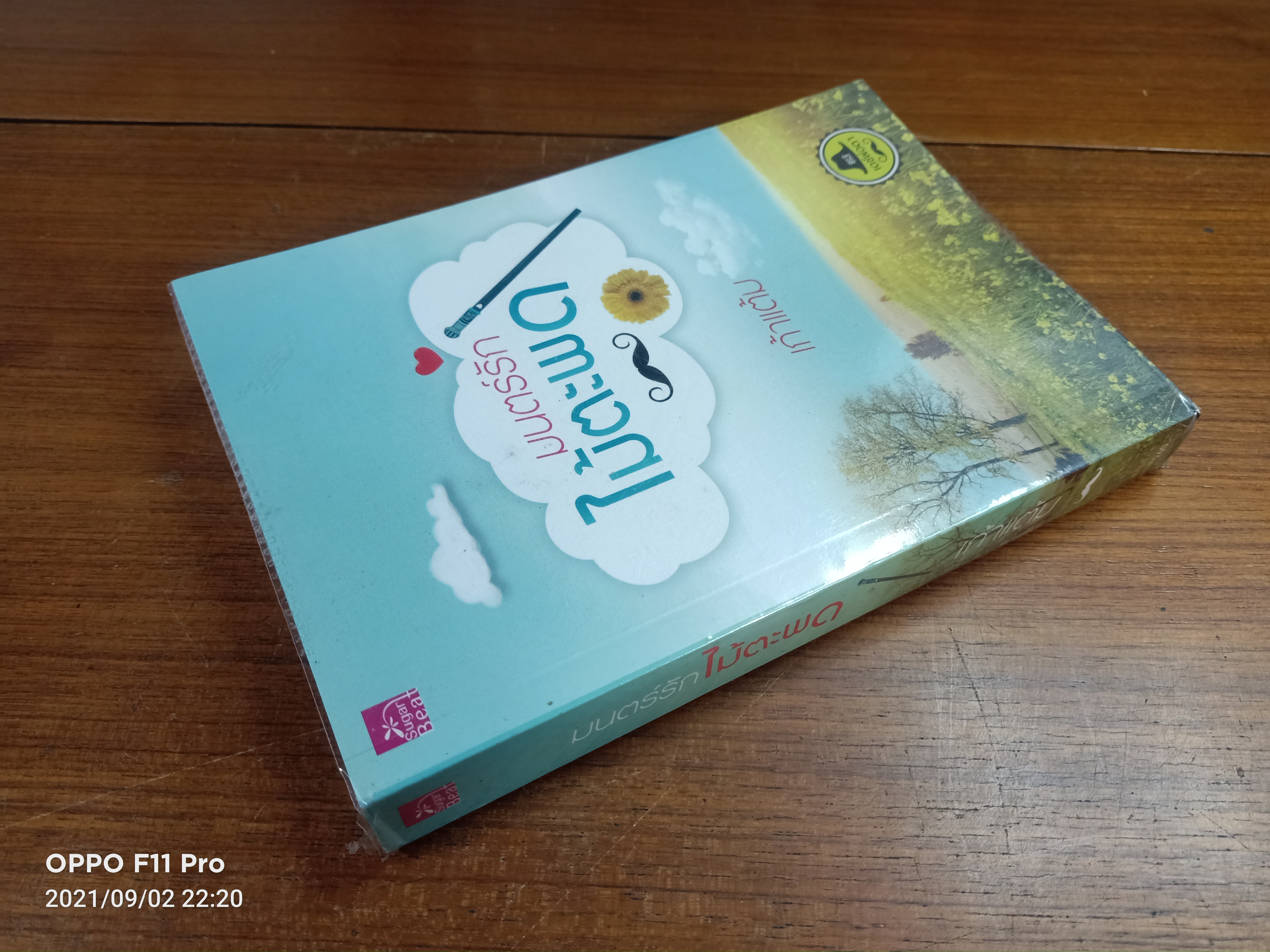 มนตร์รักไม้ตะพด / เก้าแต้ม
