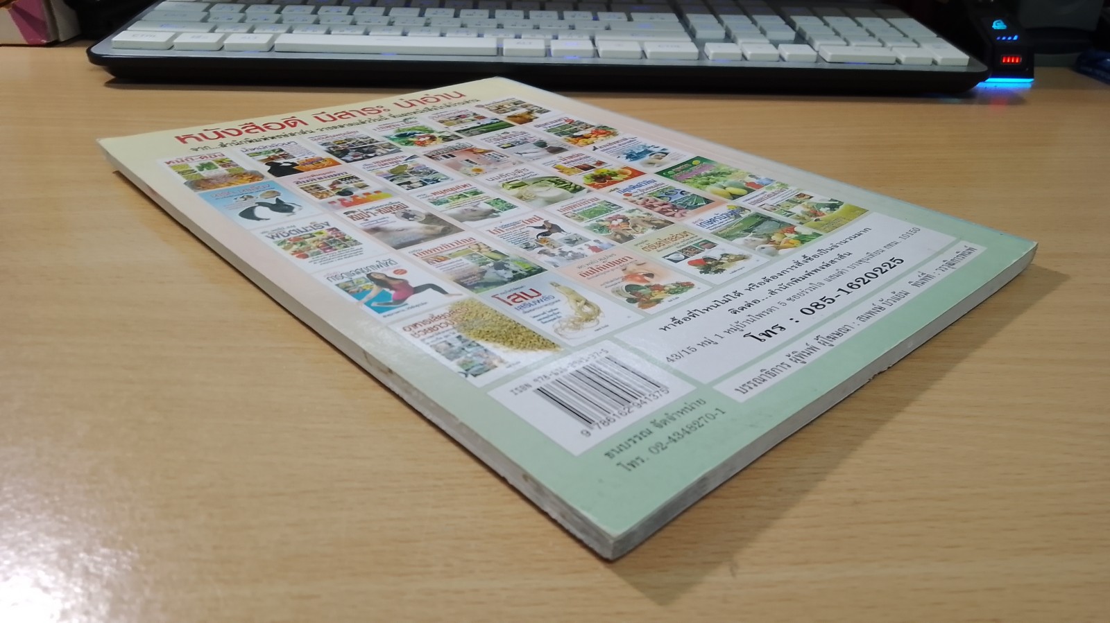 ไม้ประดับ ลดสารพิษ เสริมสุขภาพ