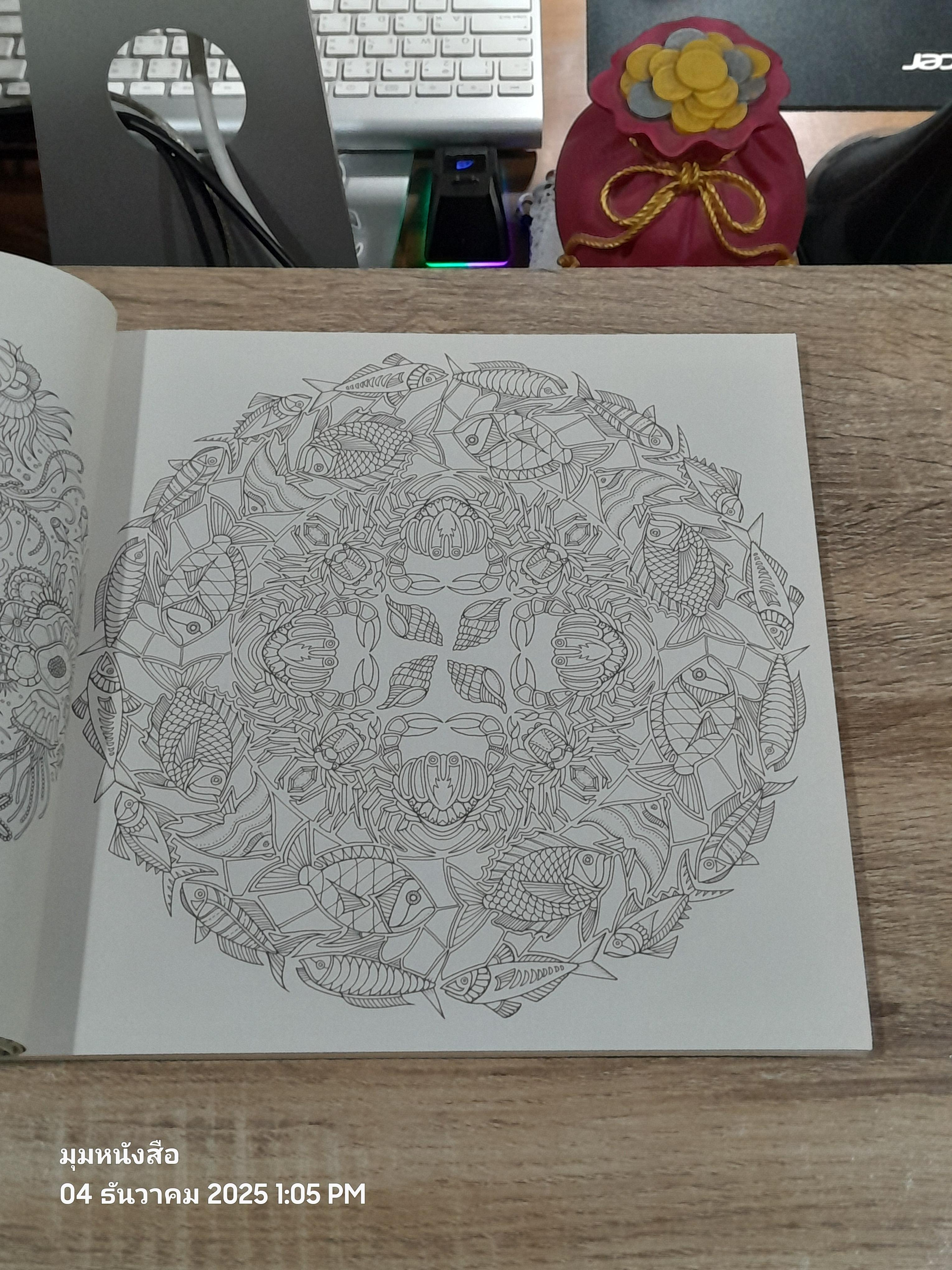 มายามหหาสมุทร / Johanna Bassford