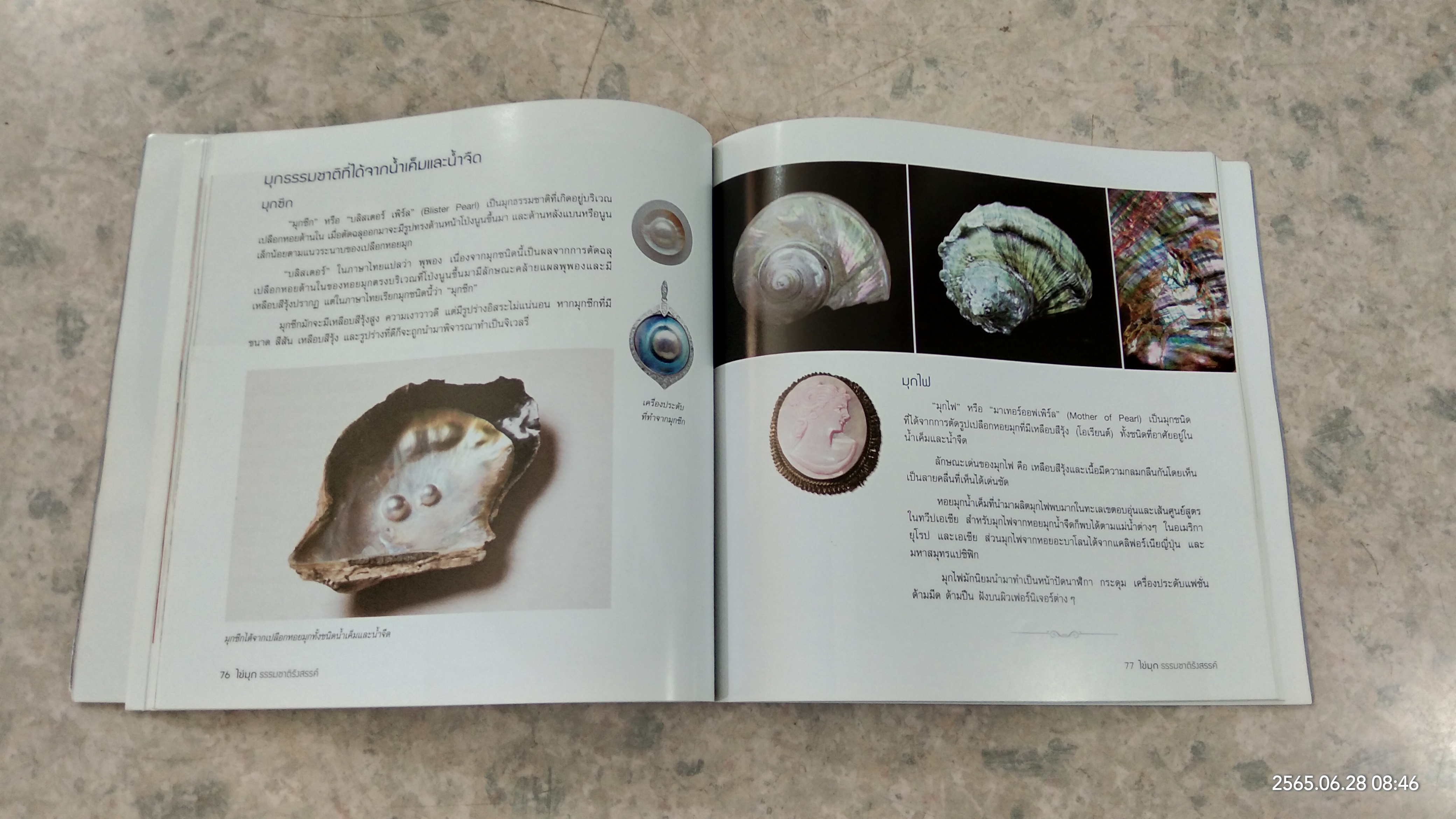 ไข่มุก...อัญมณีแห่งชีวิต / อภัสมัย พยัคฆาภรณ์