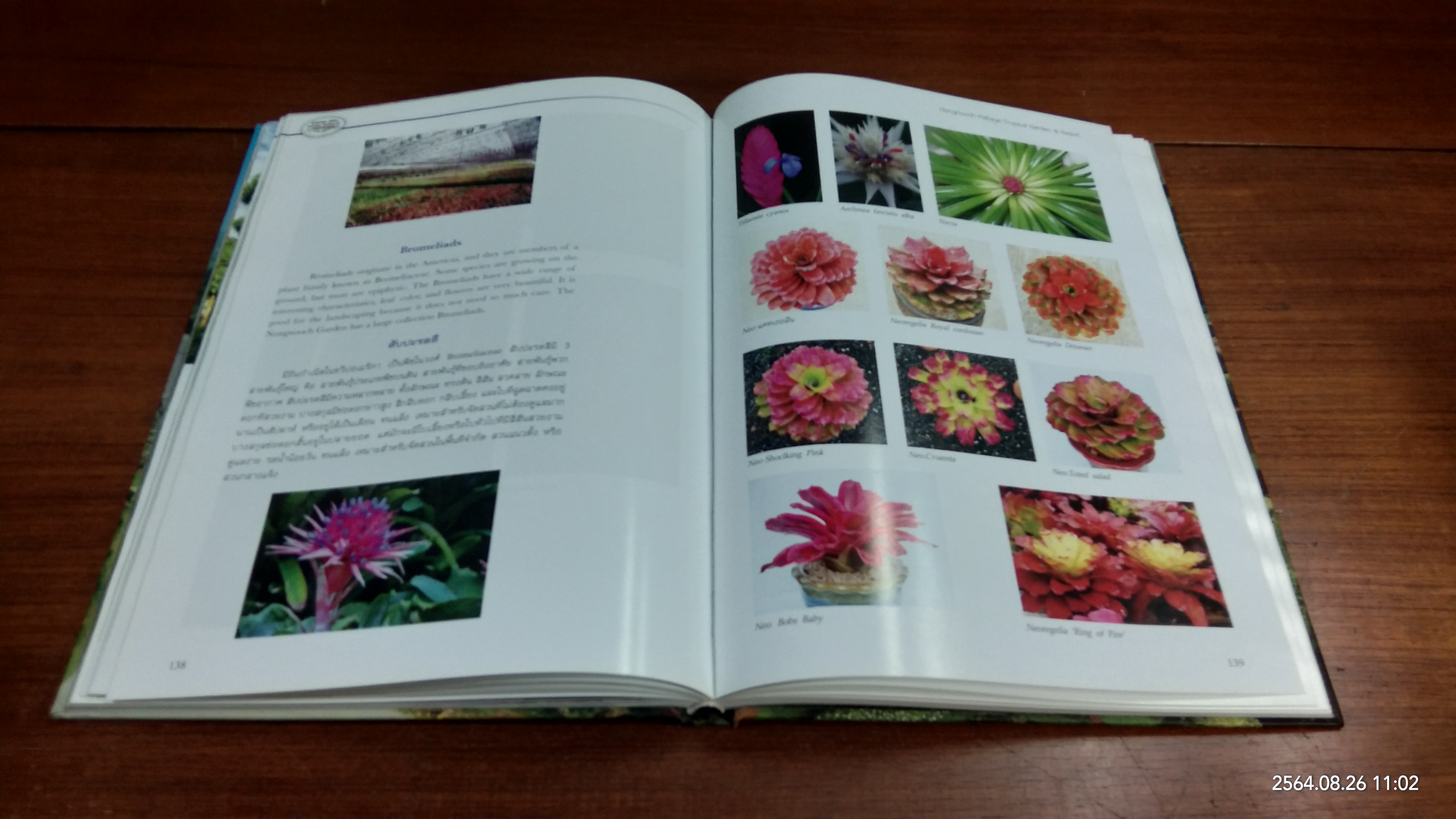 สวนพฤกษศาสตร์นงนุช พัทยา