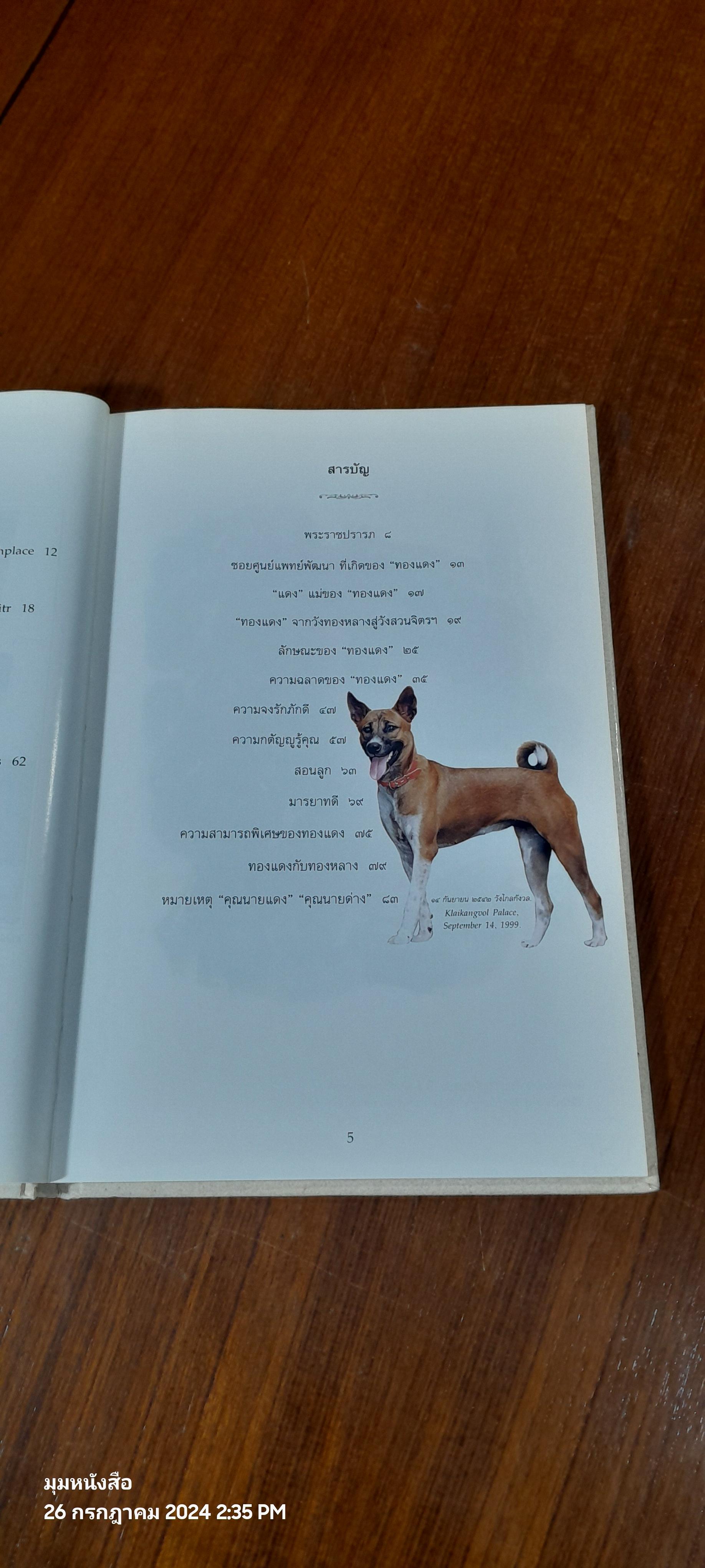 พระราชนิพนธ์เรื่อง ทองแดง