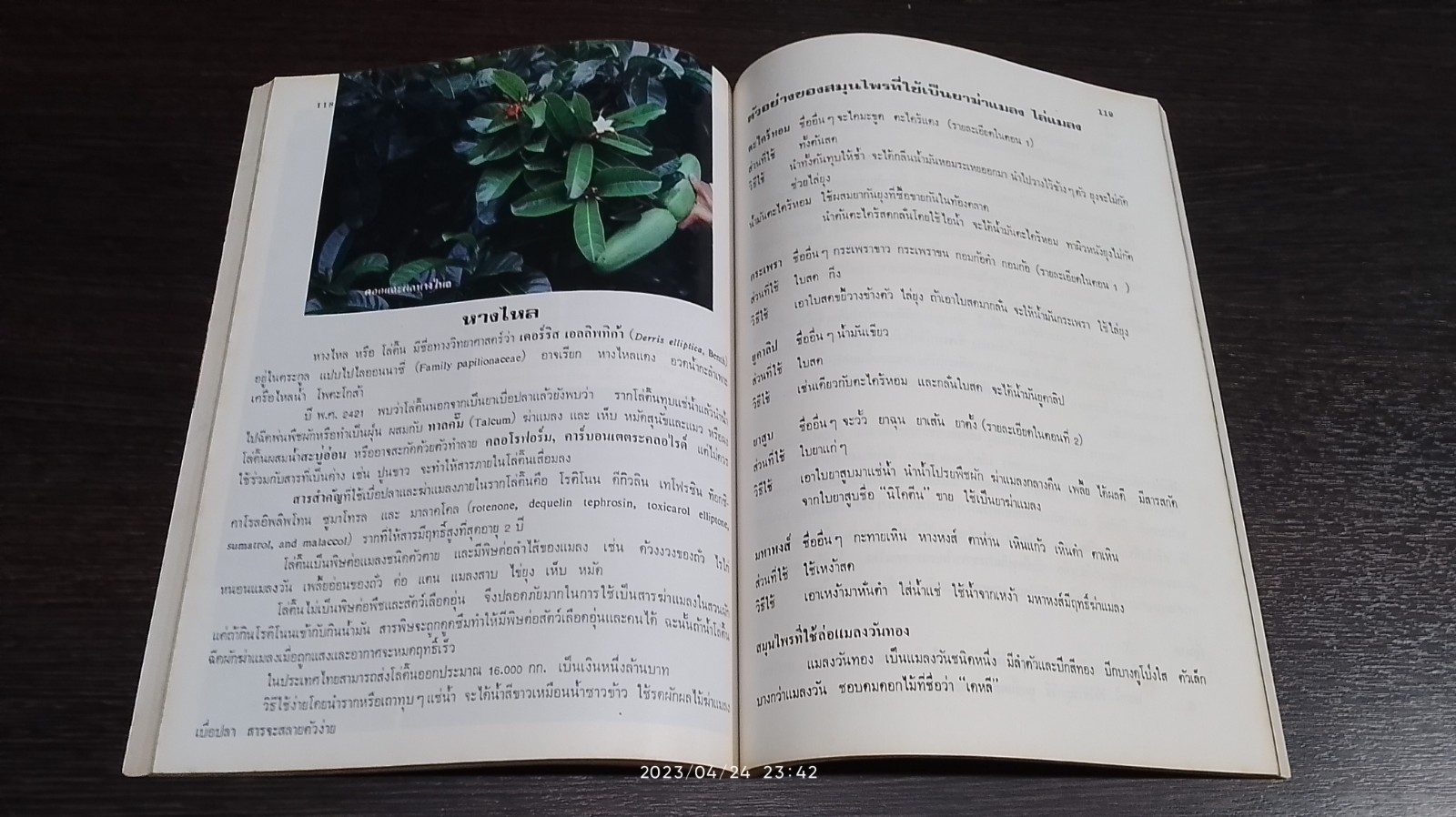 หนังสือตำรา สมุนไพรใกล้ตัว ตอนที่ 3 / รศ.สมพร หิรัญรามเดช (ภูติยานันต์)