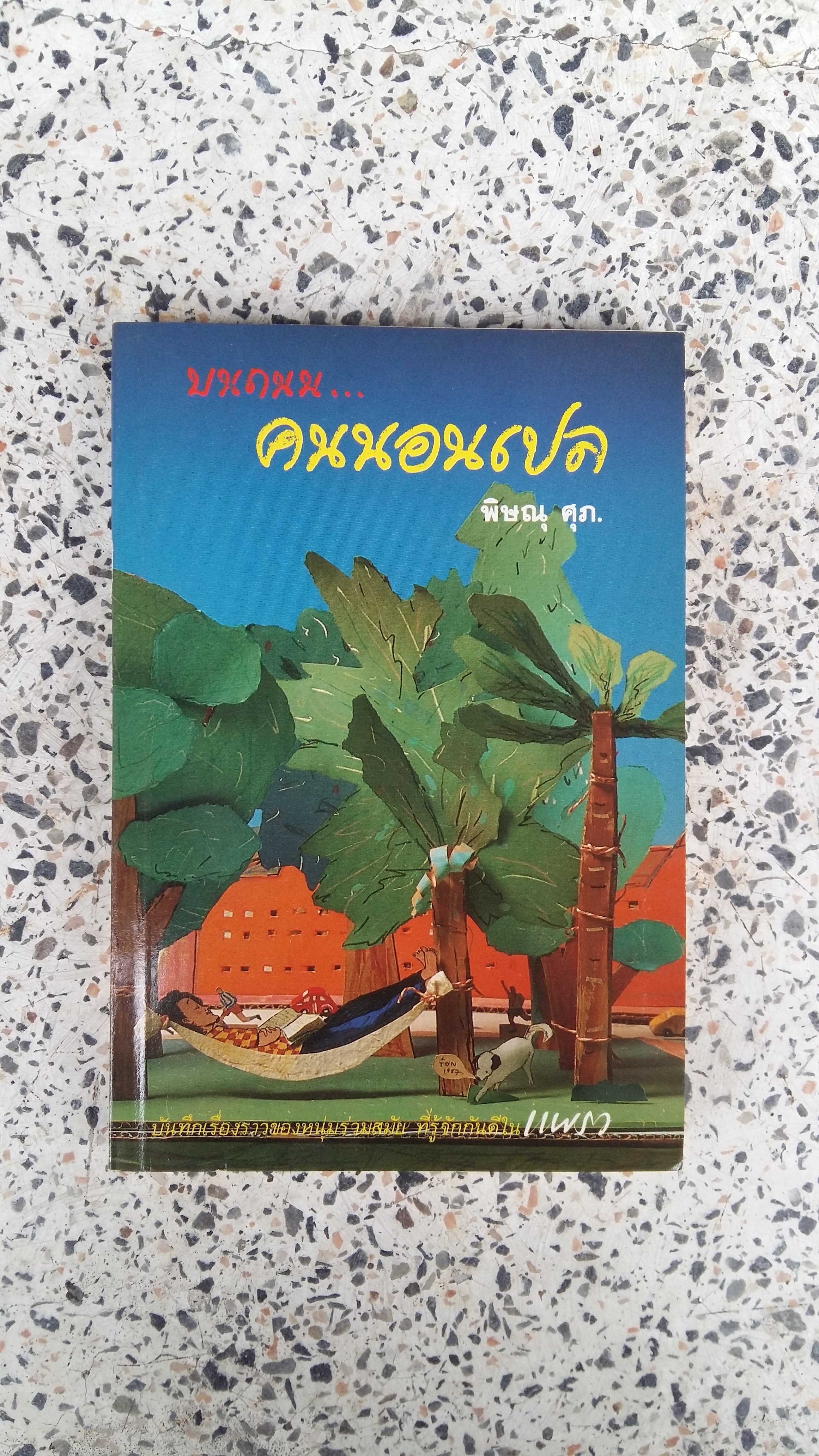 บนถนน...คนนอนเปล / พิษณุ ศุภ