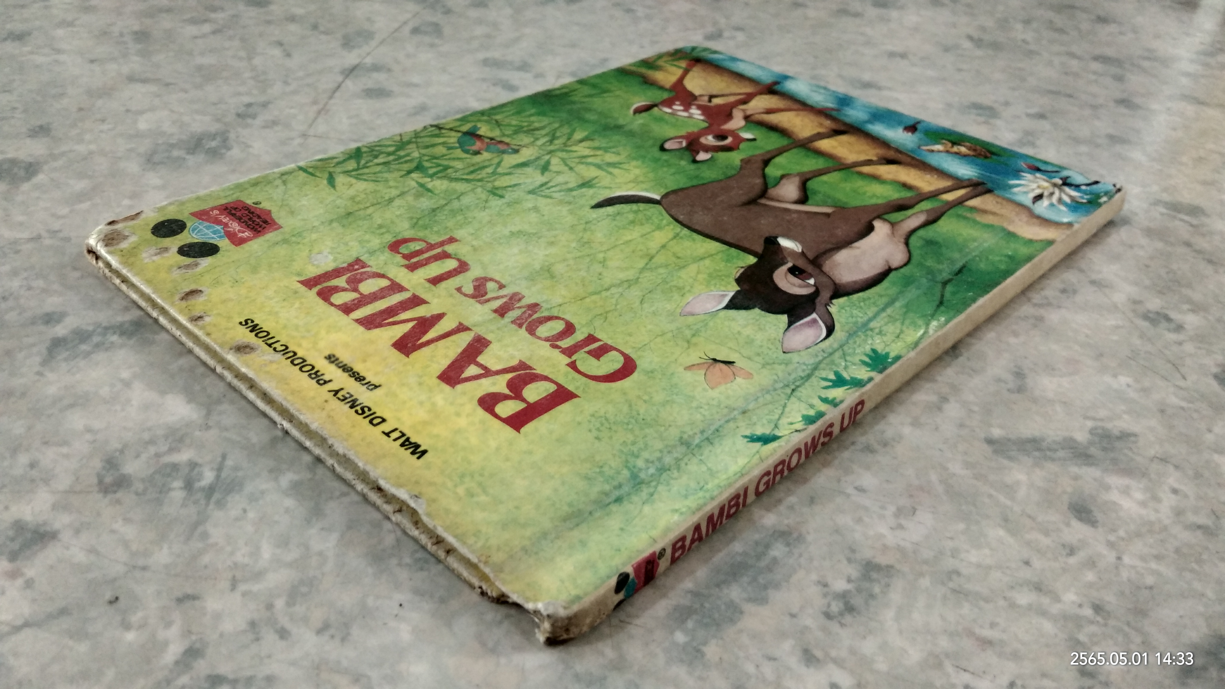 WALT DISNEY PRODUCTIONS : BAMBI Grows up