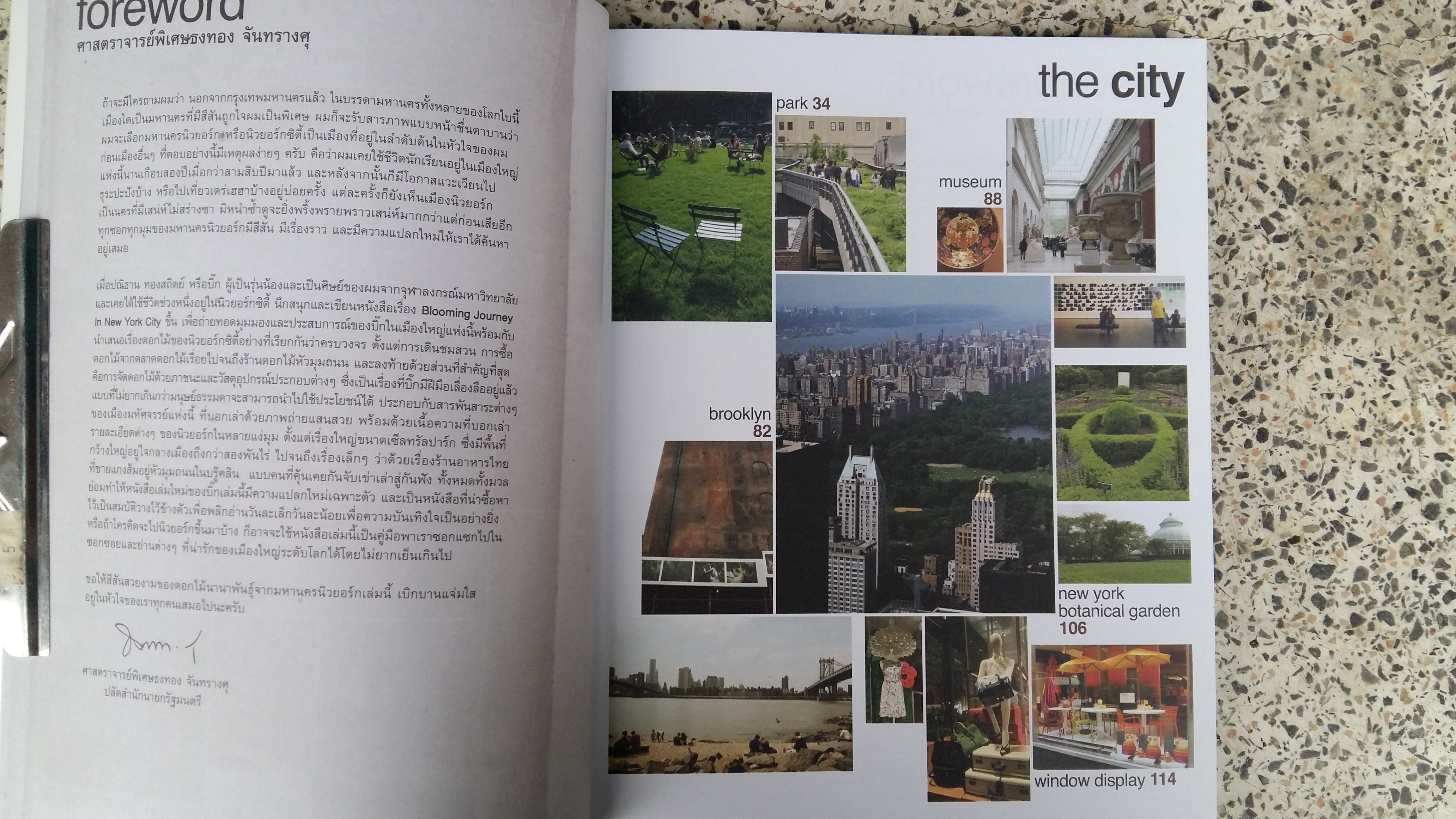 BLOOMING JOURNEY in NEW YORK CITY / ปณิธาน ทองสถิตย์