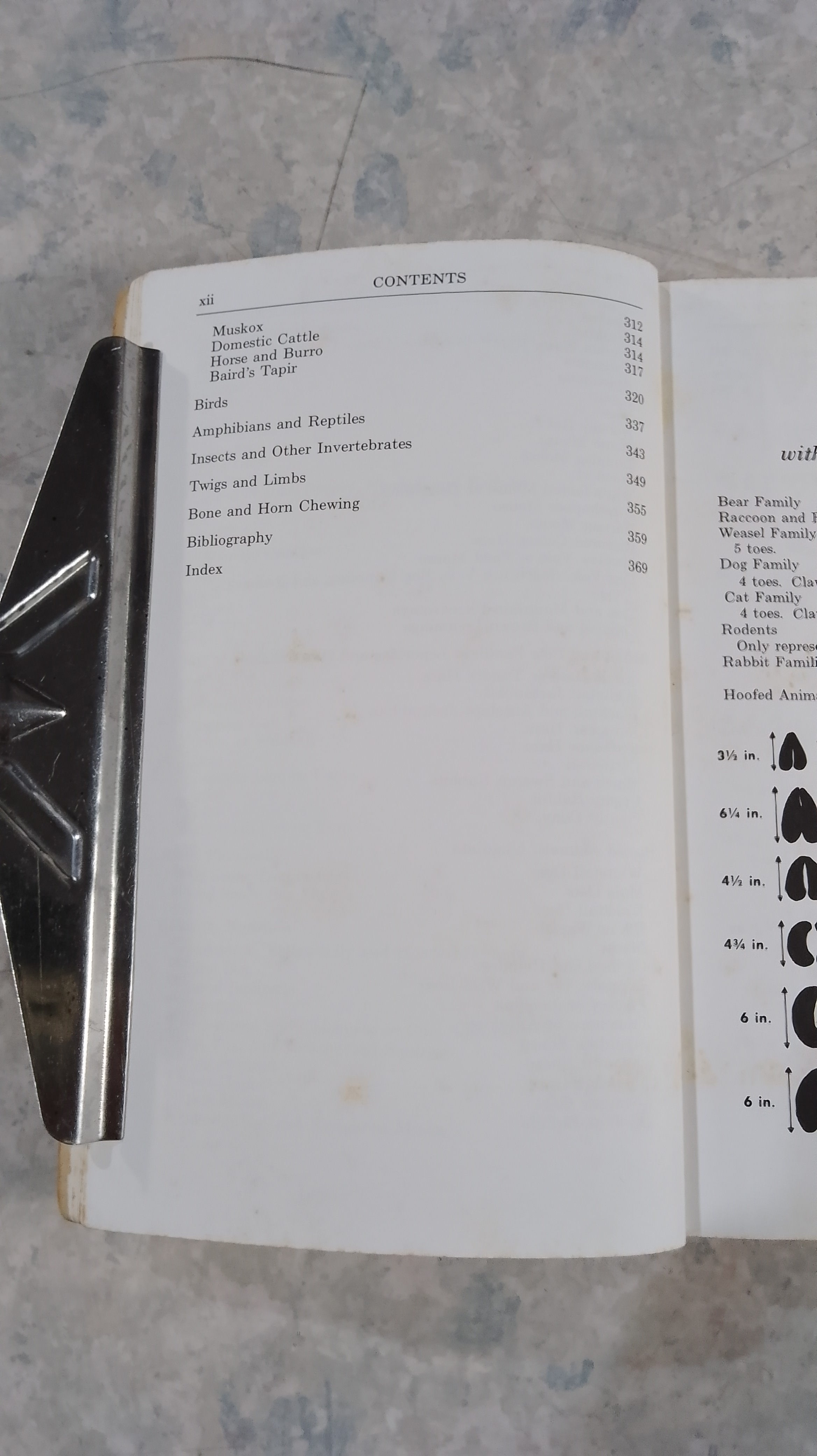 A FIELD GUIDE TO ANIMAL TRACKS / OLAUS J.MURIE