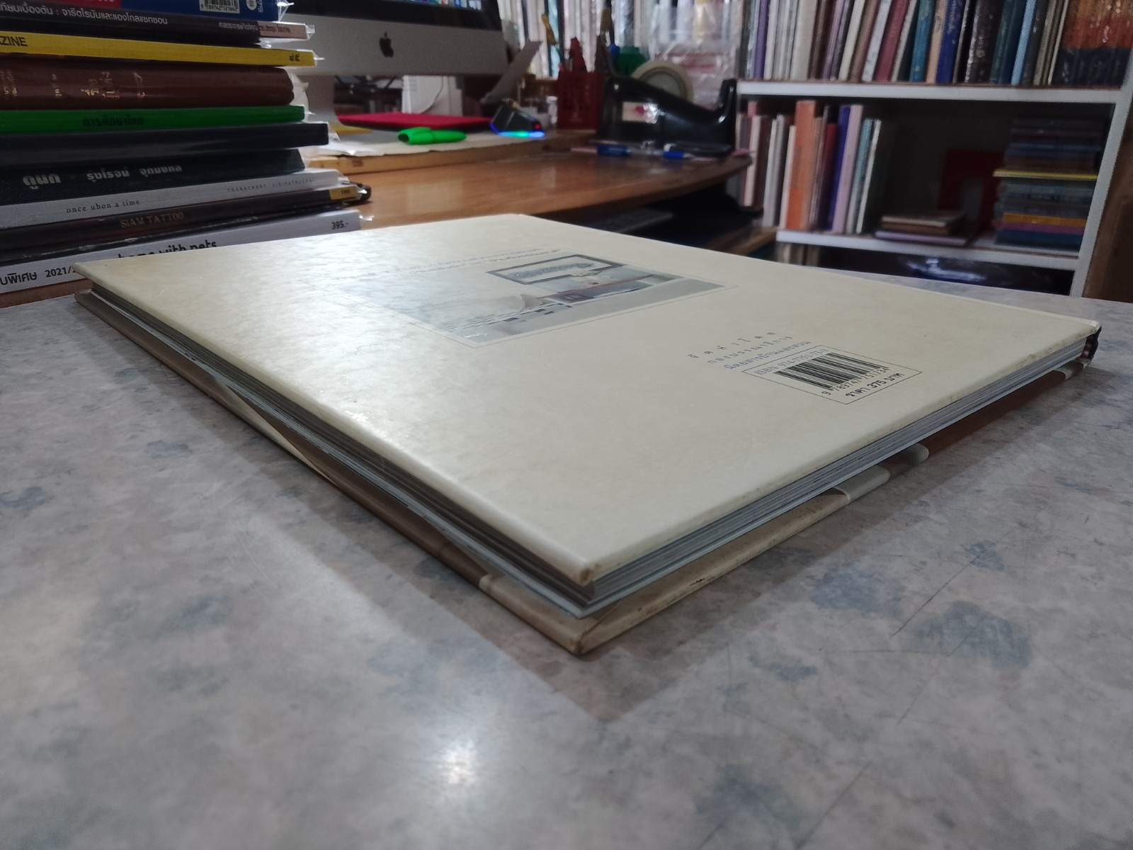 บ้านสีขาว / บ้านและสวน