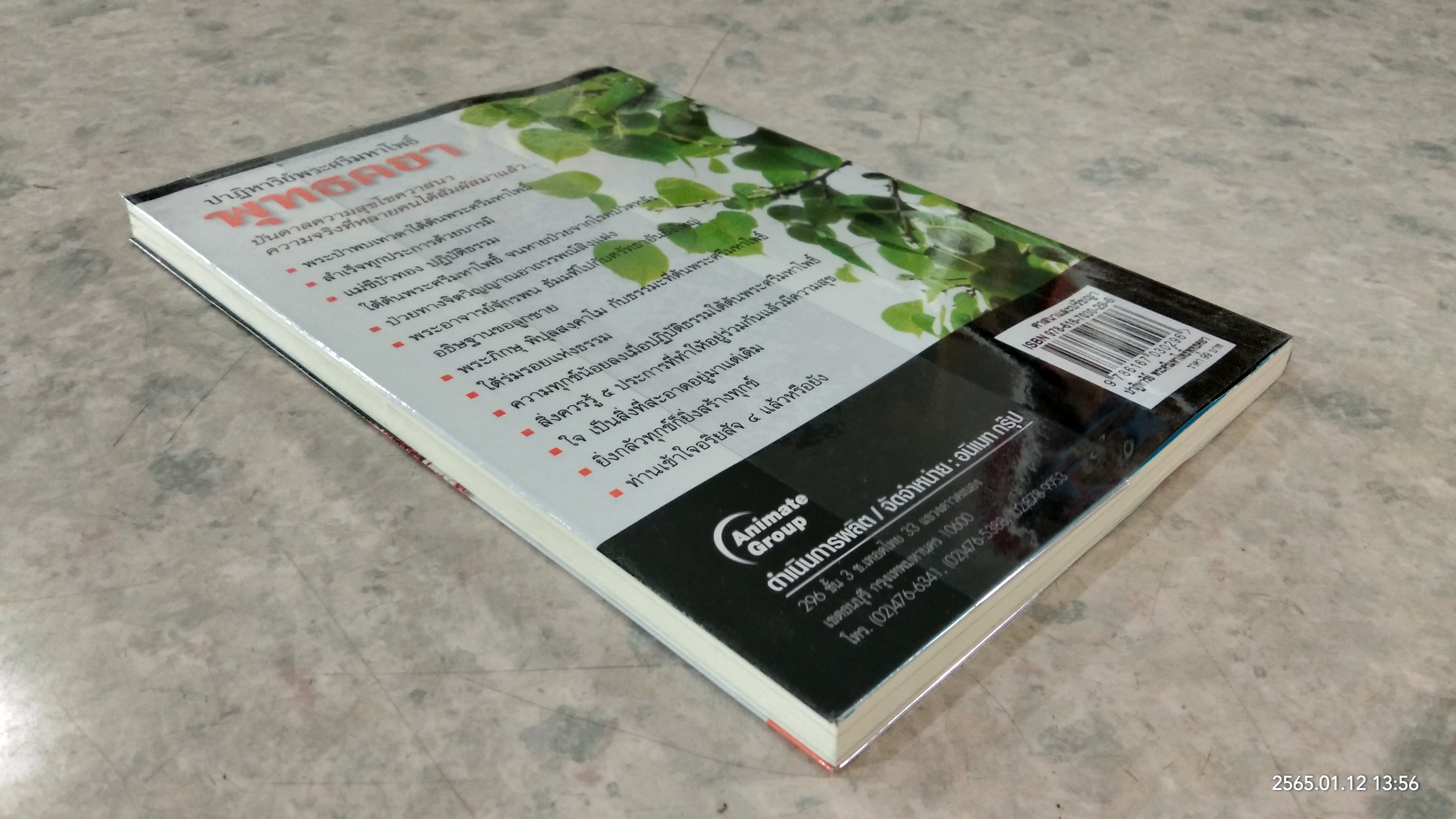 ปาฏิหาริย์พระศรีมหาโพธิ์ พุทธคยา / ราช รามัญ