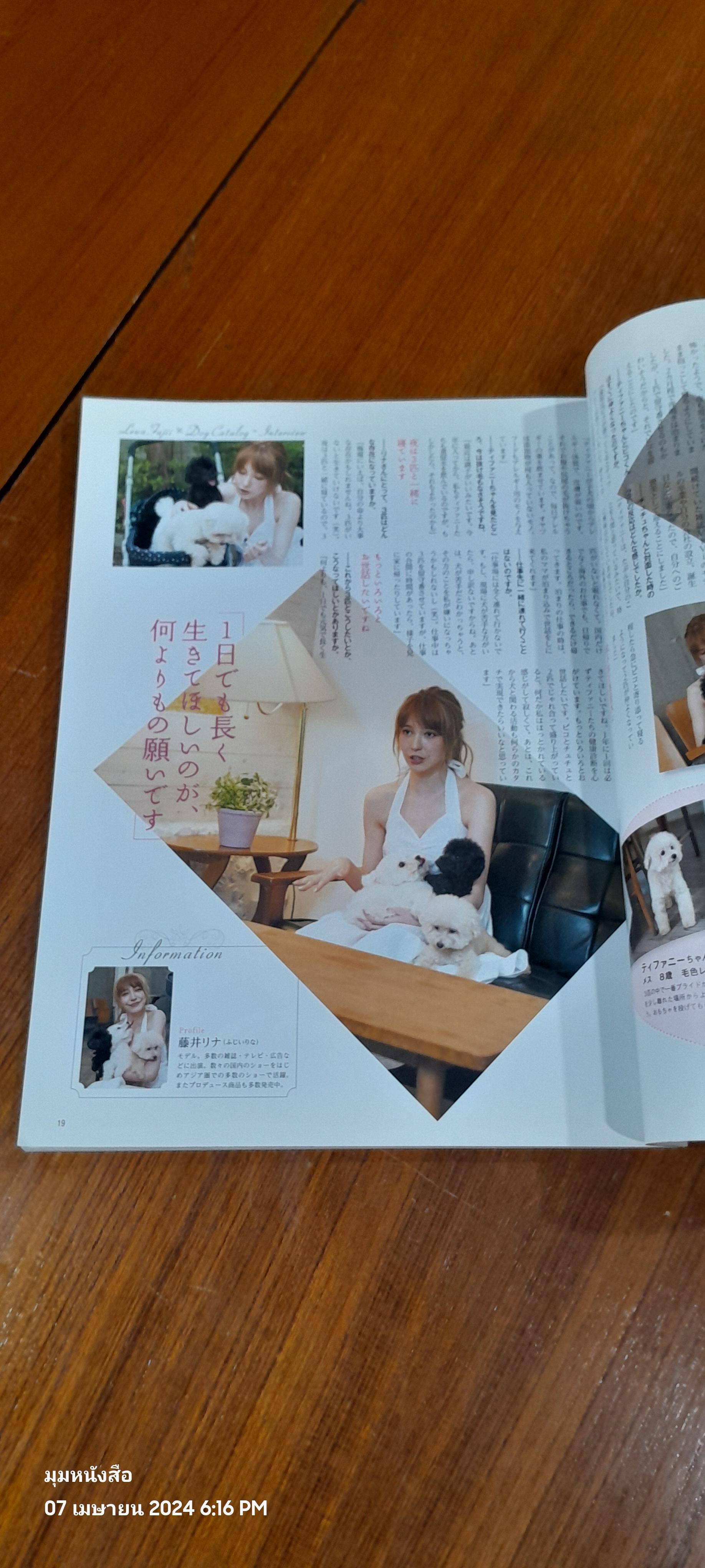 日本と世界の犬のカタログ ２０１６年版 （ＳＥＩＢＩＤＯ ＭＯＯＫ）: แคตตาล็อกสุนัขจากประเทศญี่ปุ่นและโลก ฉบับปี 2559 (SEIBIDO MOOK)