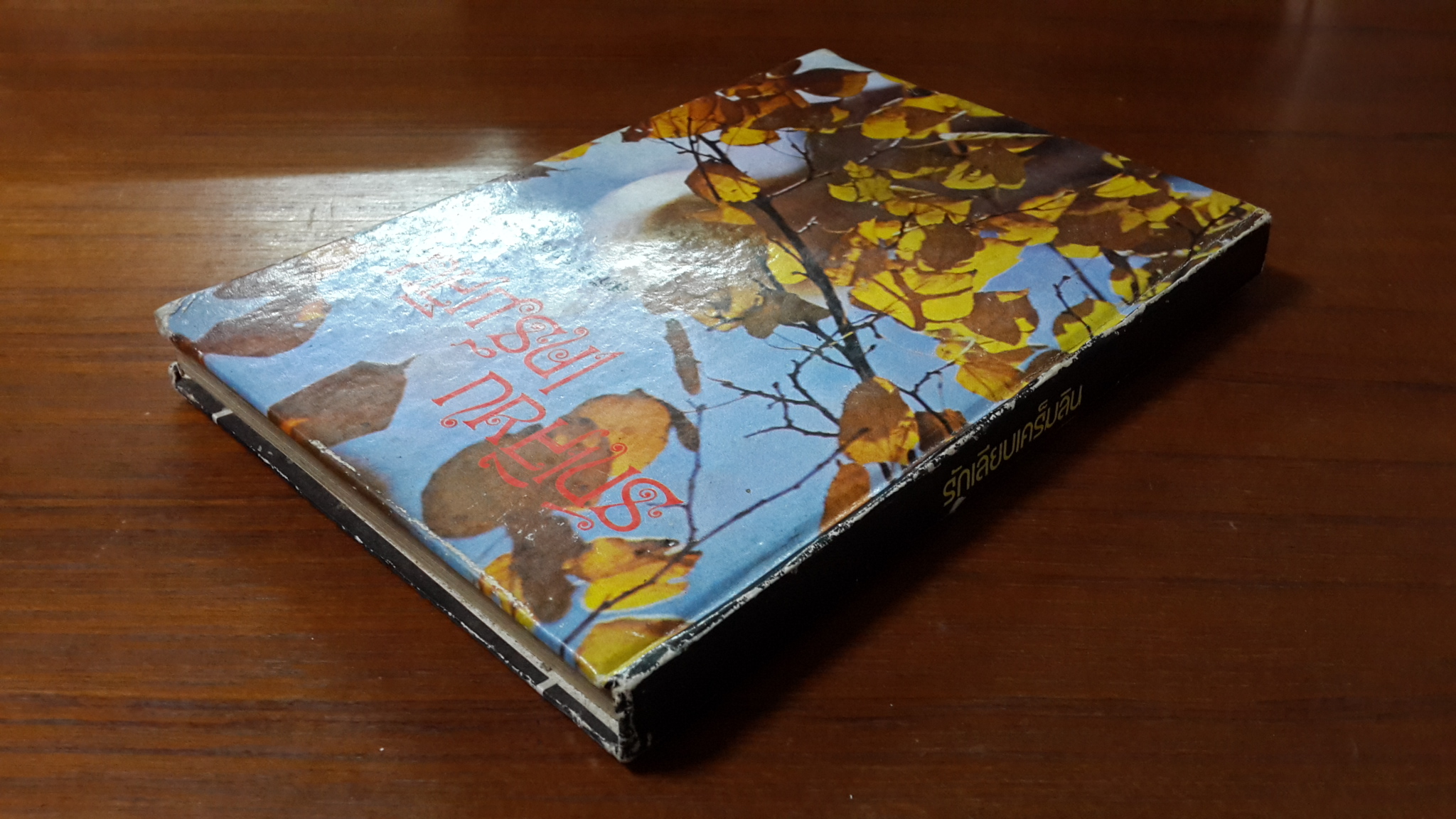 รักเลียบเคร็มลิน / สุภัทร สวัสดิรักษ์