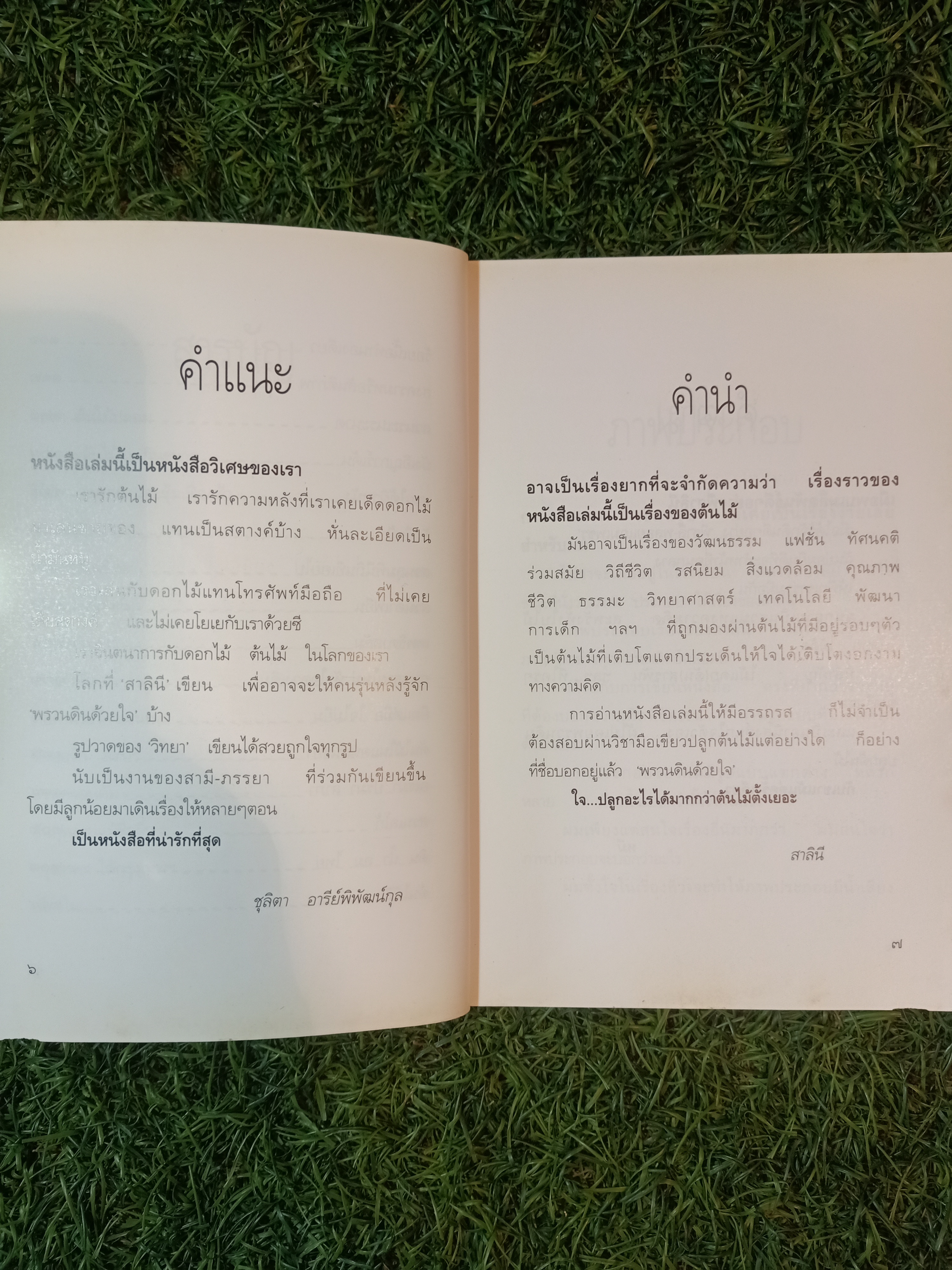 พรวนดินด้วย / สาลินี