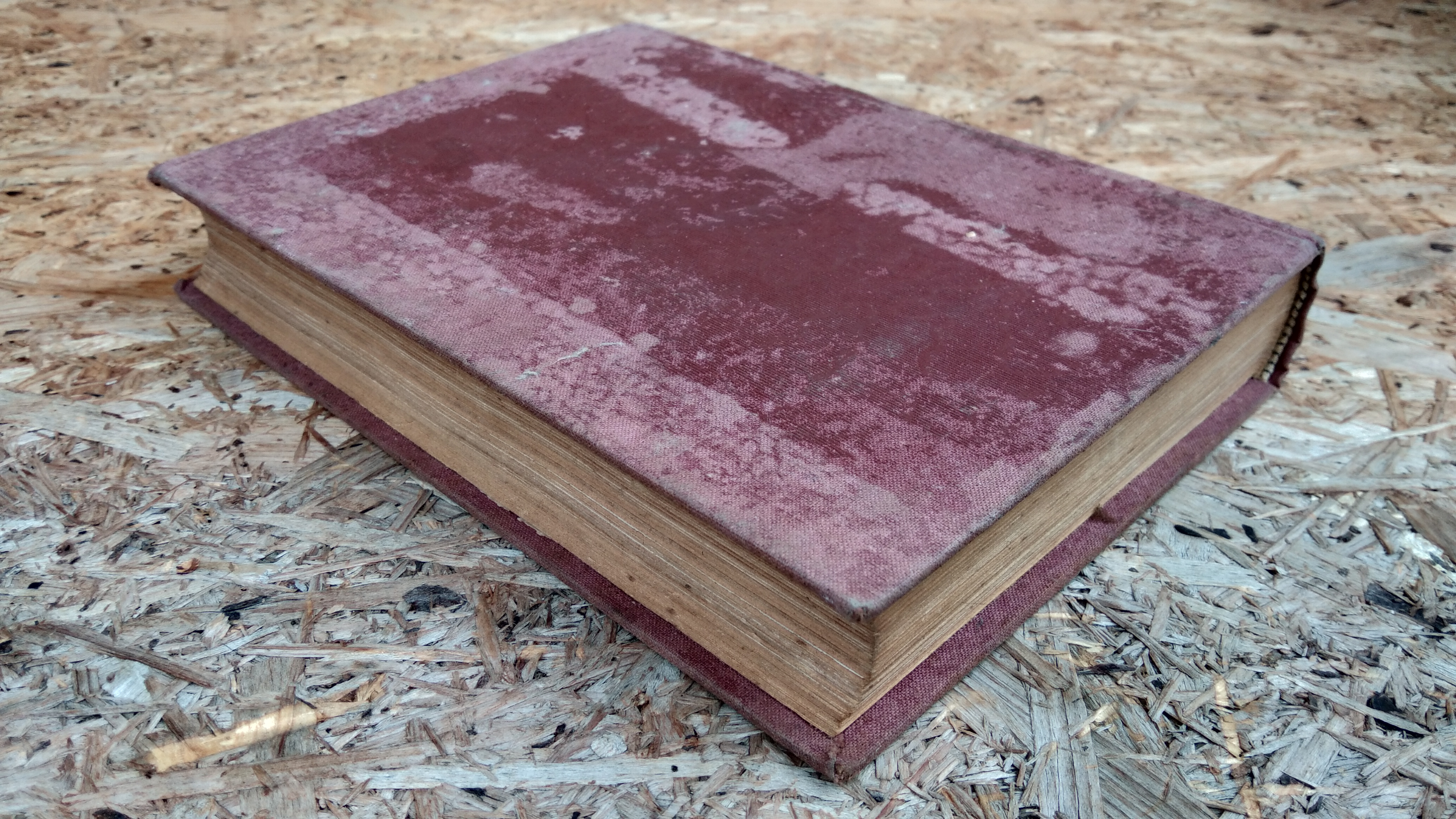 ๗๔ วันแห่งพระราชจริยาวัตร ของ ในหลวงภูมิพลฯ / ลมูล อติพยัคฆ์