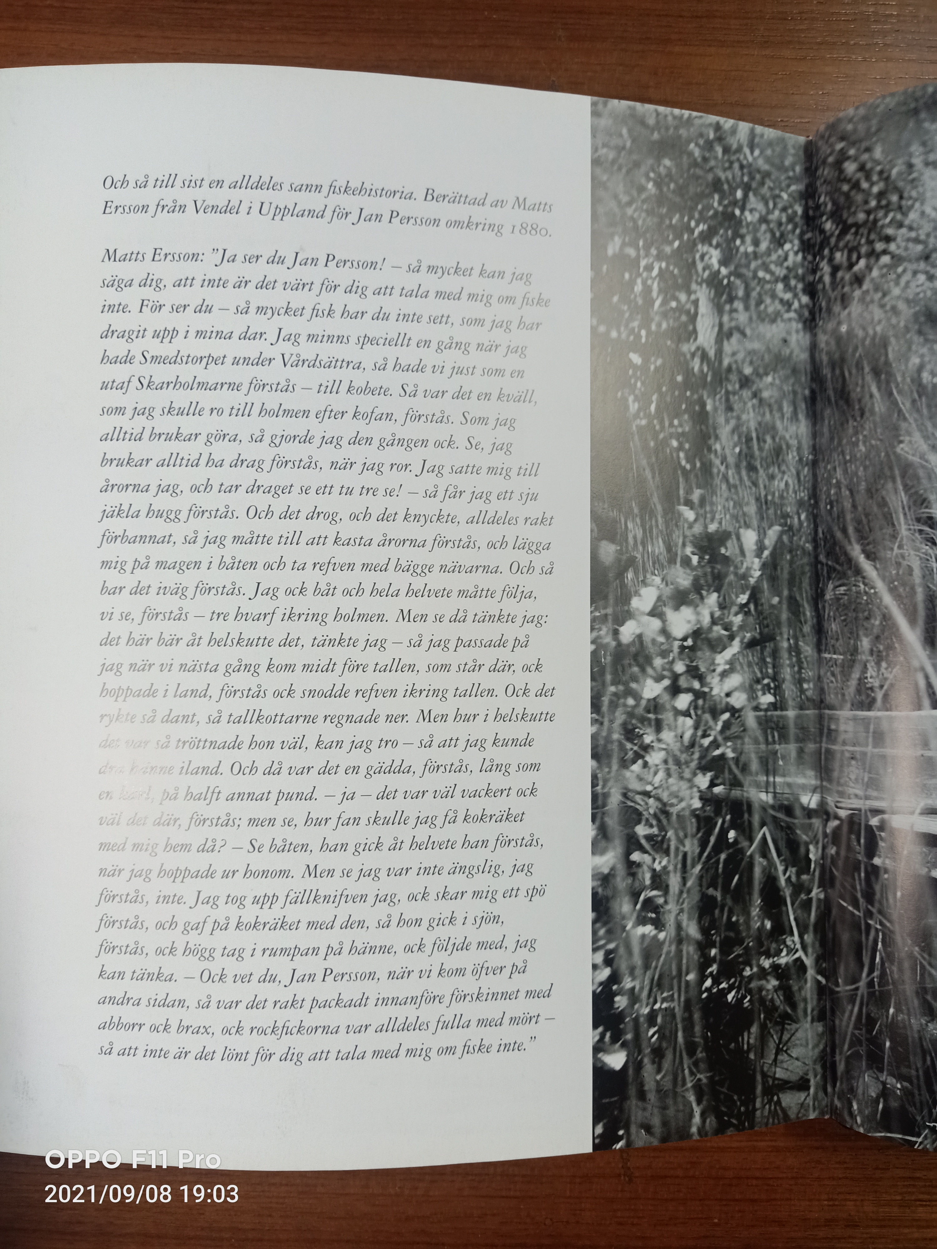 Fiskedon / ดีเลน, โกรัน & ทูรันเดอร์, เคอร์สติน