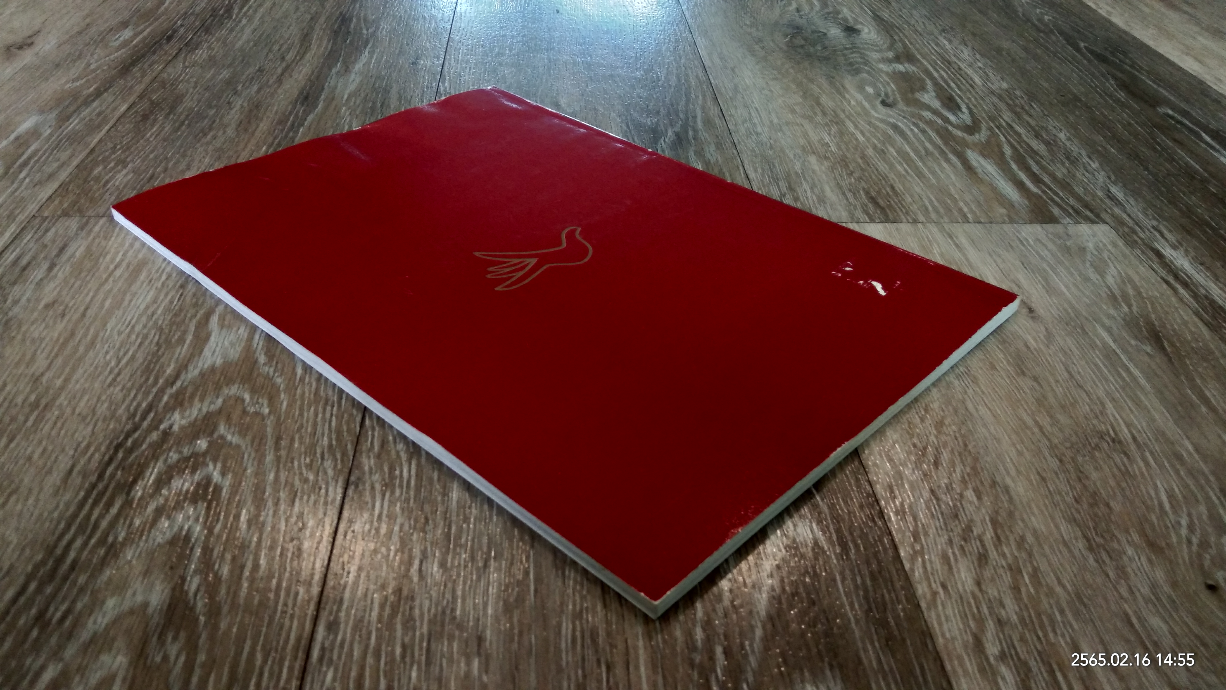 บันทึกการแสดงนิทรรศการศิลปกีบสังคม ๒๕๔๔ รางวัลมนัส เศียรสิงห์ "แดง"