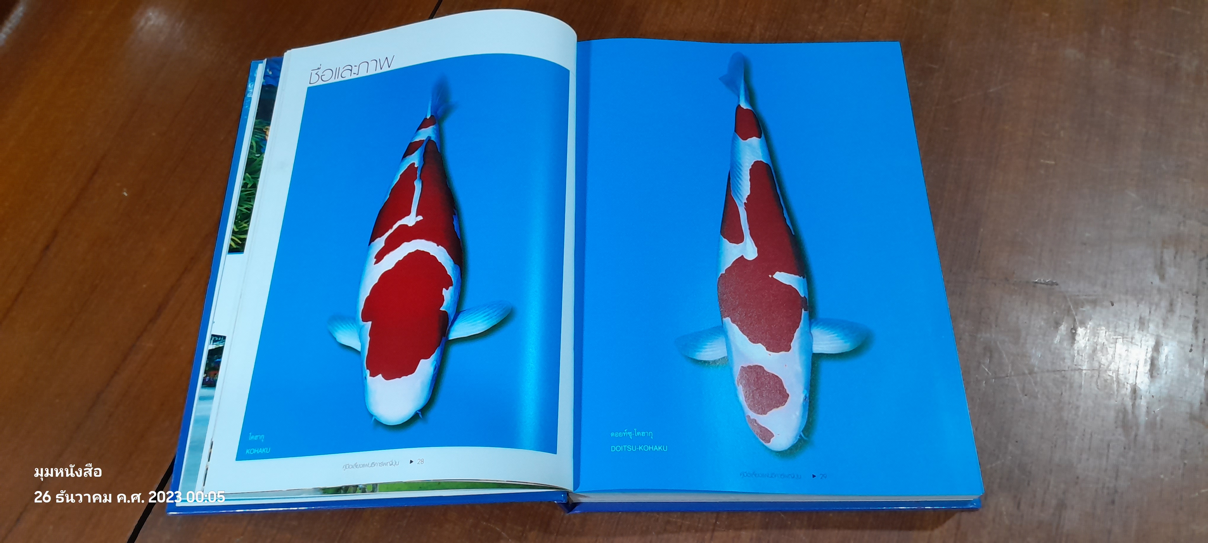 คู่มือเลี้ยงแฟนซีคาร์พญี่ปุ่น / ผิน คิ้วไพศาล