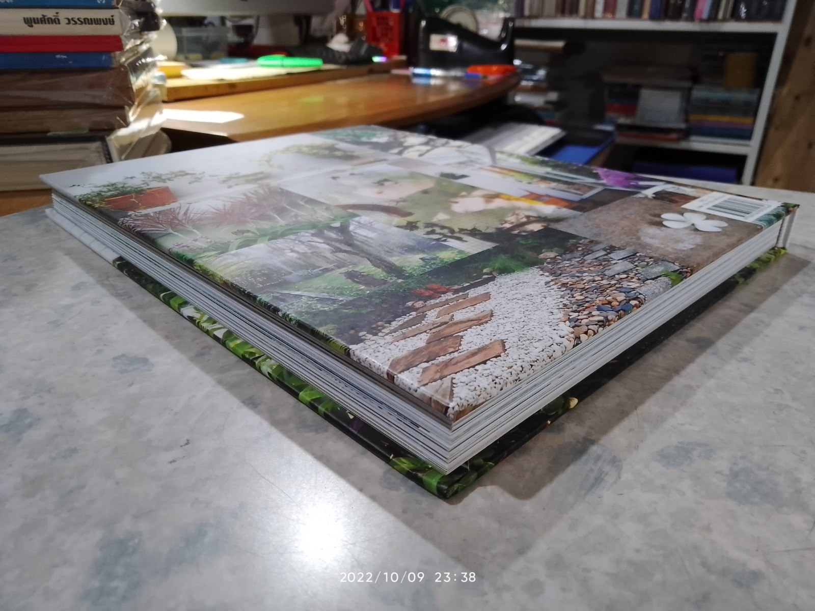 พื้นที่เล็กของคนรักสวน / ทิพาพรรณ ศิริเวชฏารักษ์