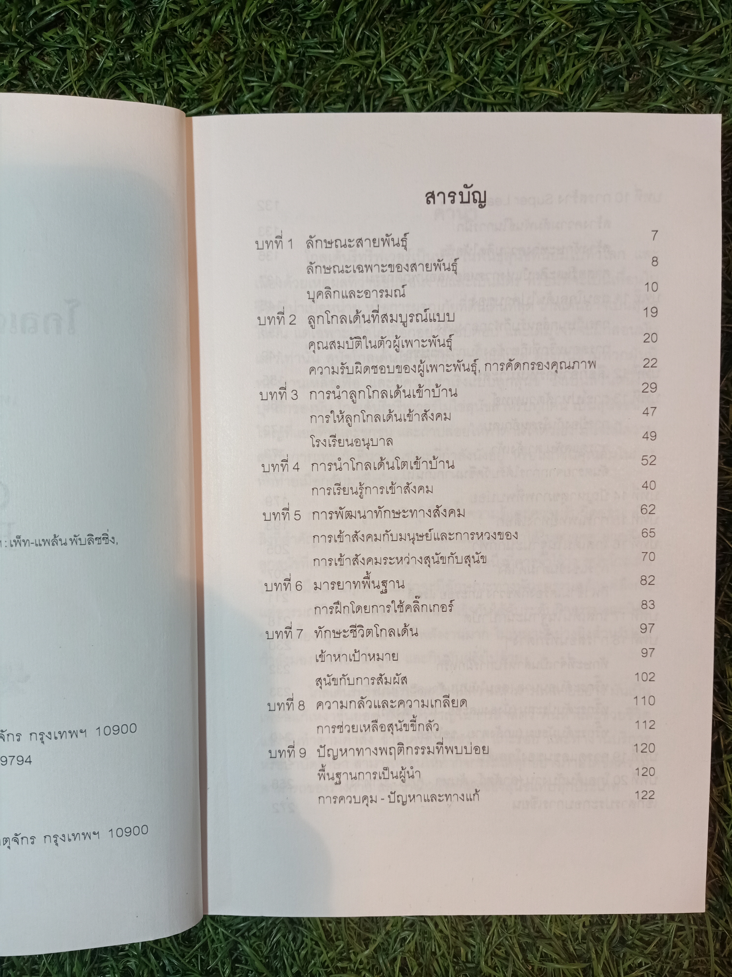 โกลเด้น รีทรีฟเวอร์ / เหมพันธ์ เหมวรนันท์