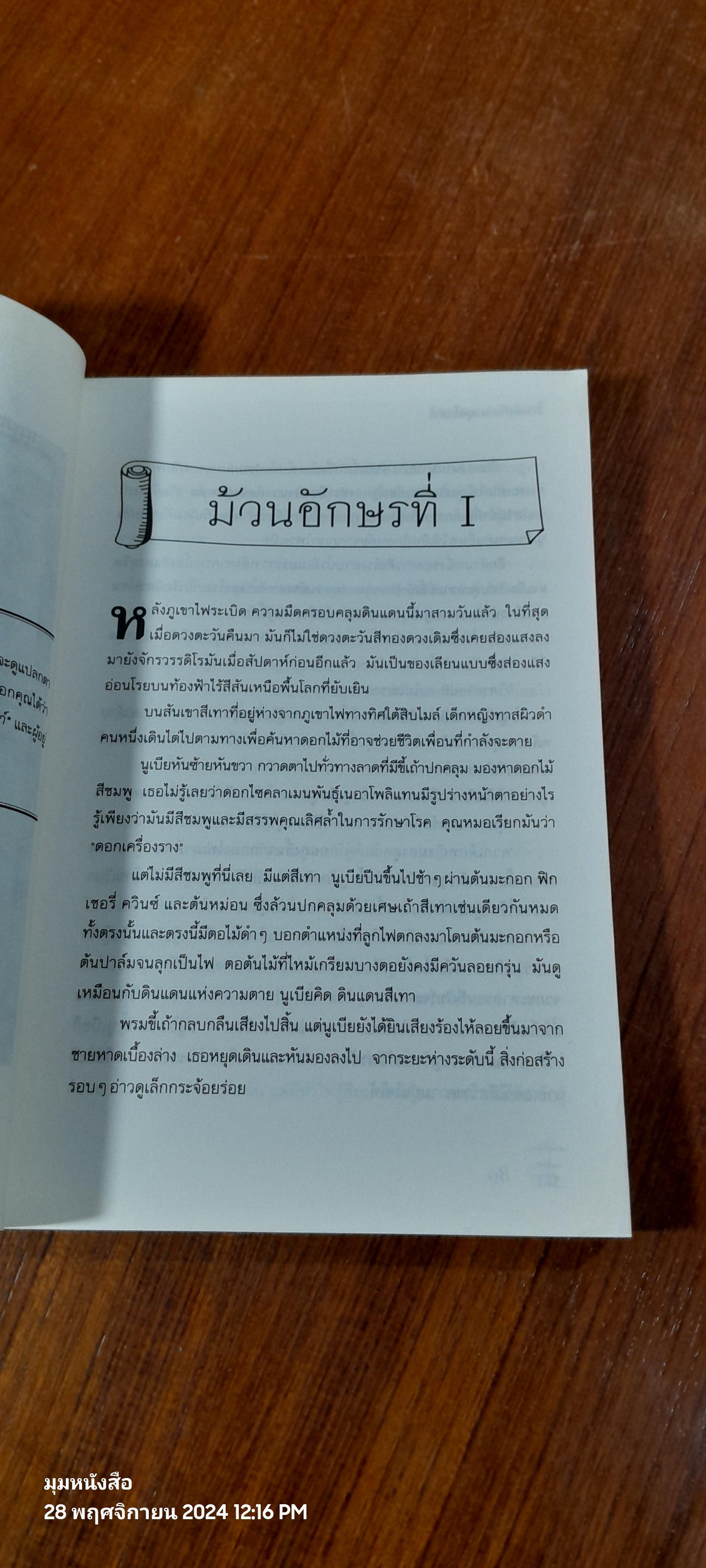 โจรสลัดแห่งปอมเปอี / CAROLINE LAWRENCE