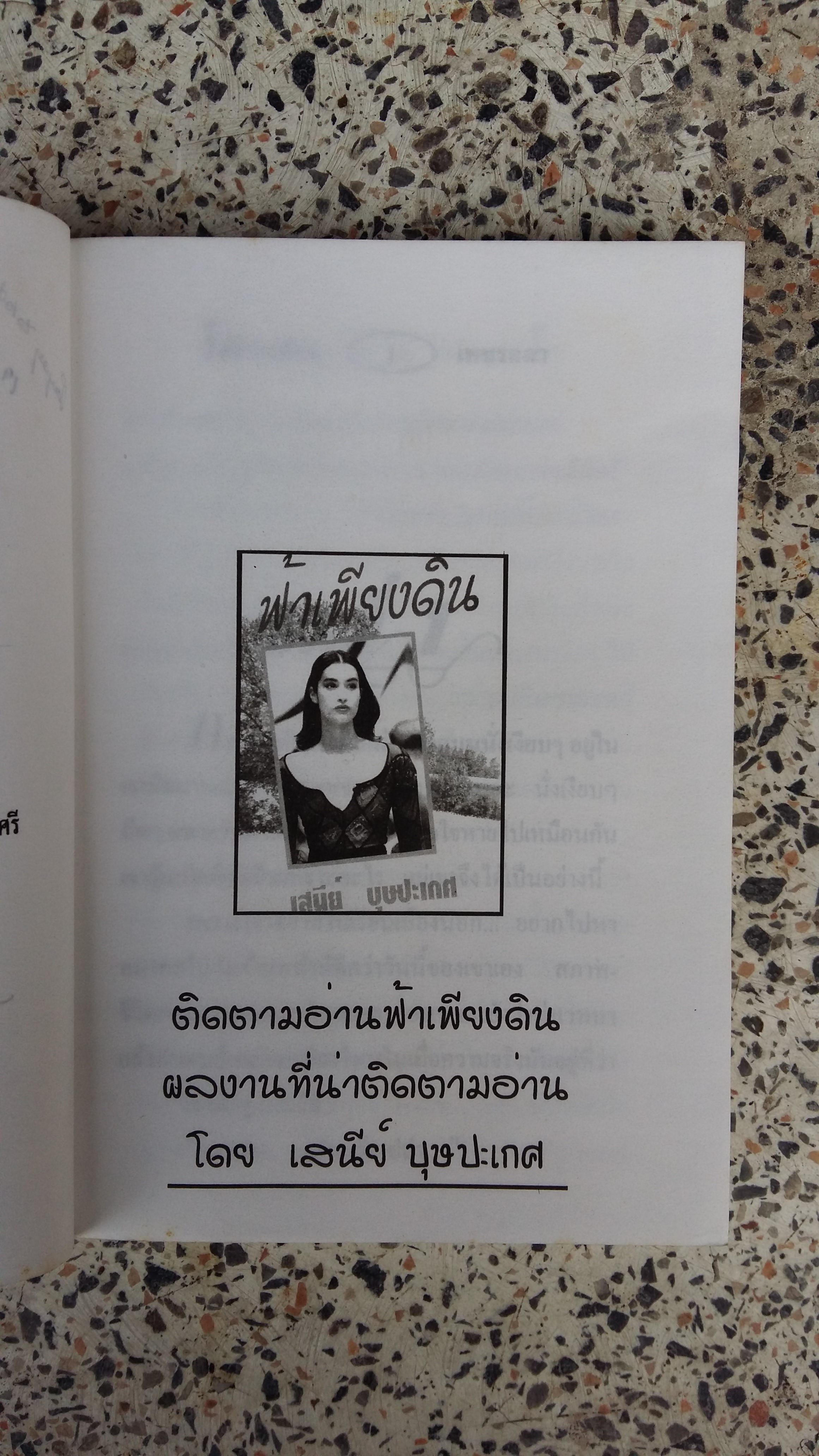 ไม้ต่างเมือง / เพชรลดา / เสนีย์ บุษปะเกศ