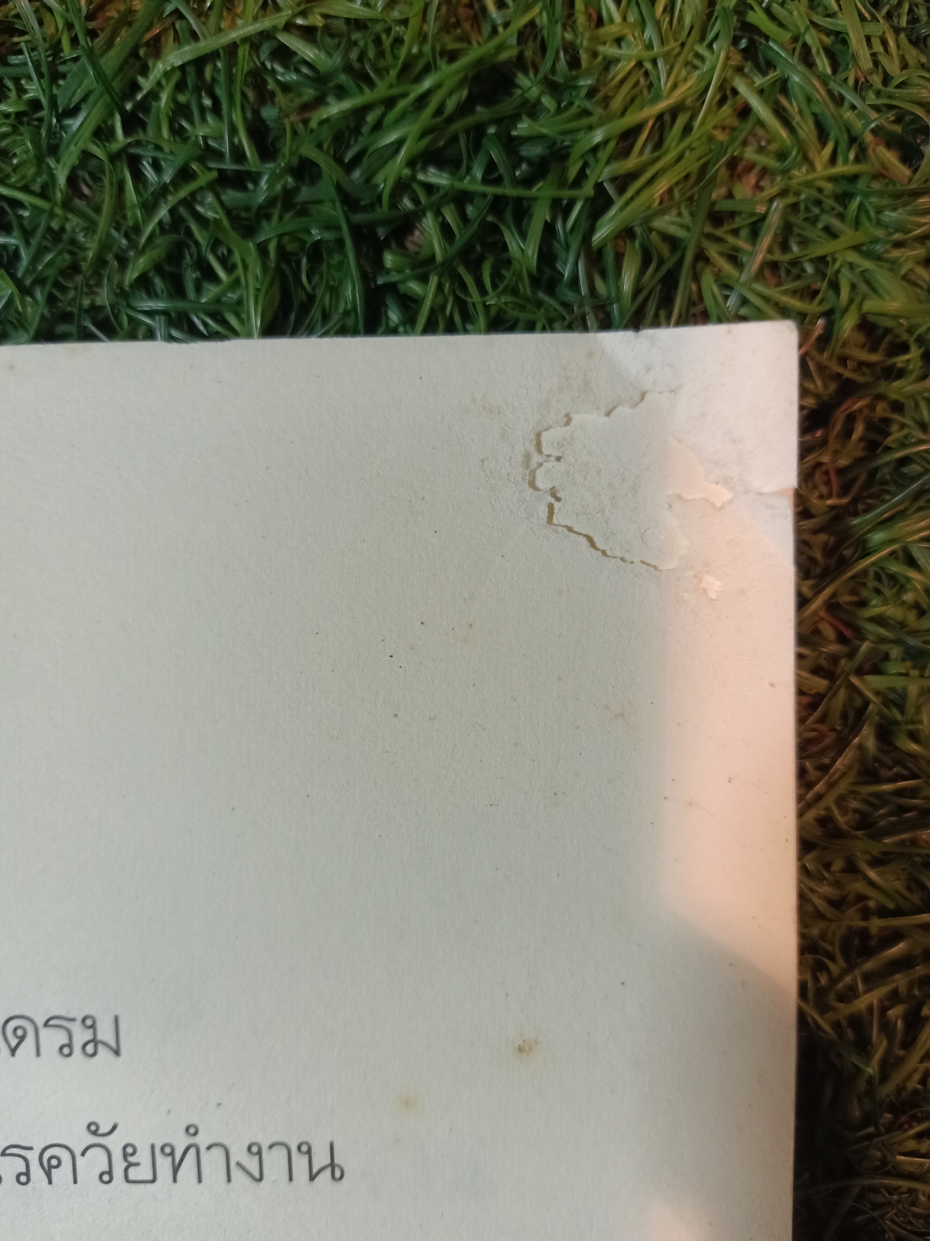 ออฟฟิศซินโดรม กลเม็ดเด็ด! พิชิตโรควัยทำงาน / เล็กฉัตริษา