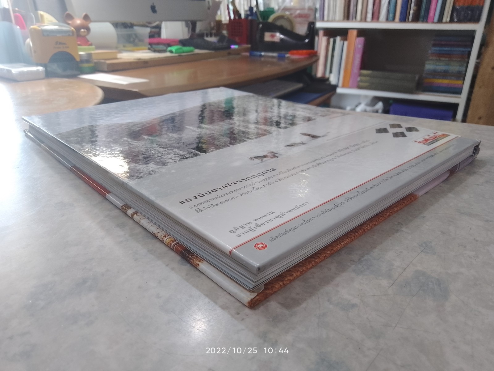 บ้านและสวน ฉบับพิเศษกลางปี '49