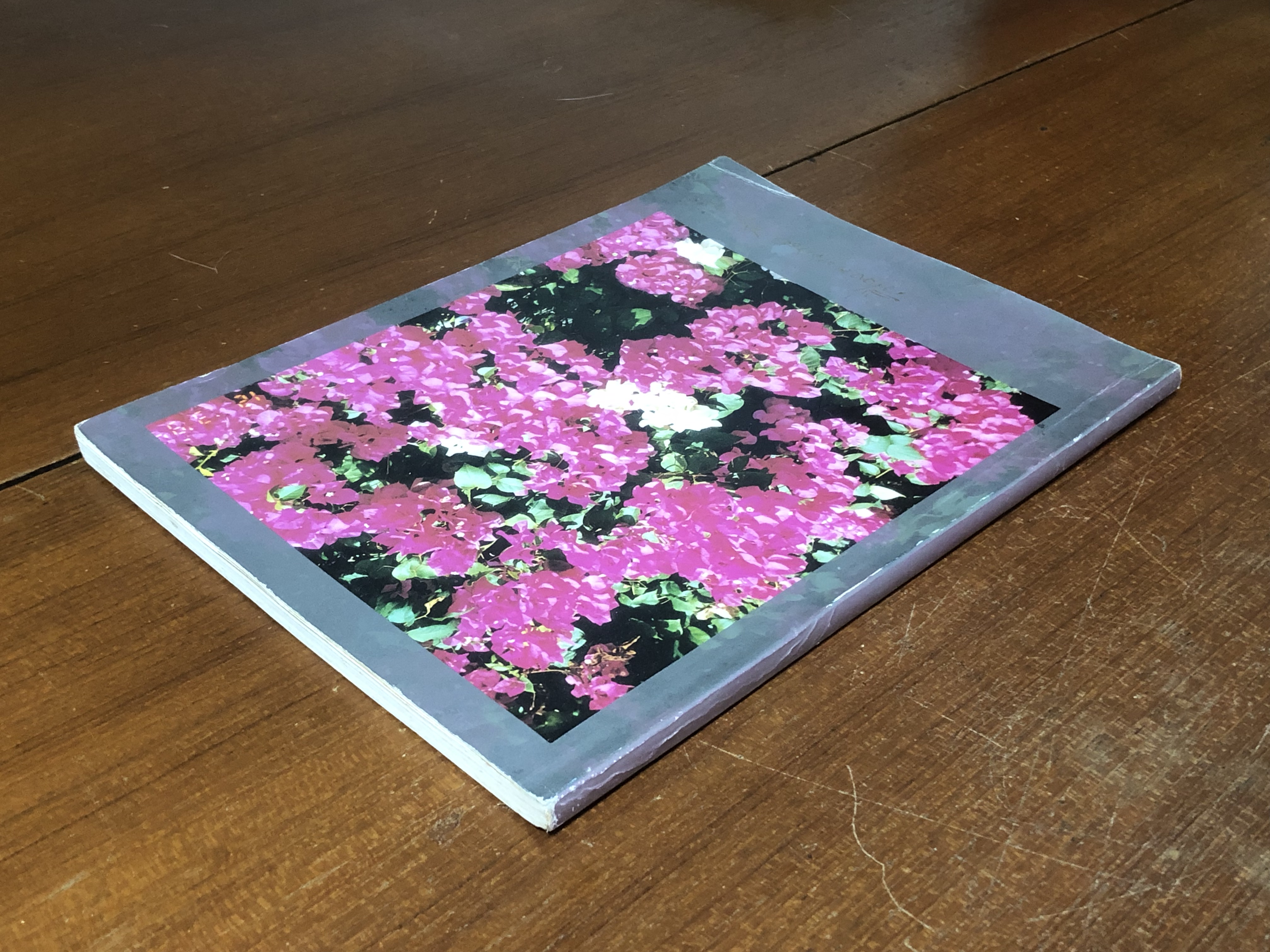 อนุสรณ์ในงานพระราชทานเพลิงศพ คุณหญิงเฟื่อง อนุศาสน์จิตรกร