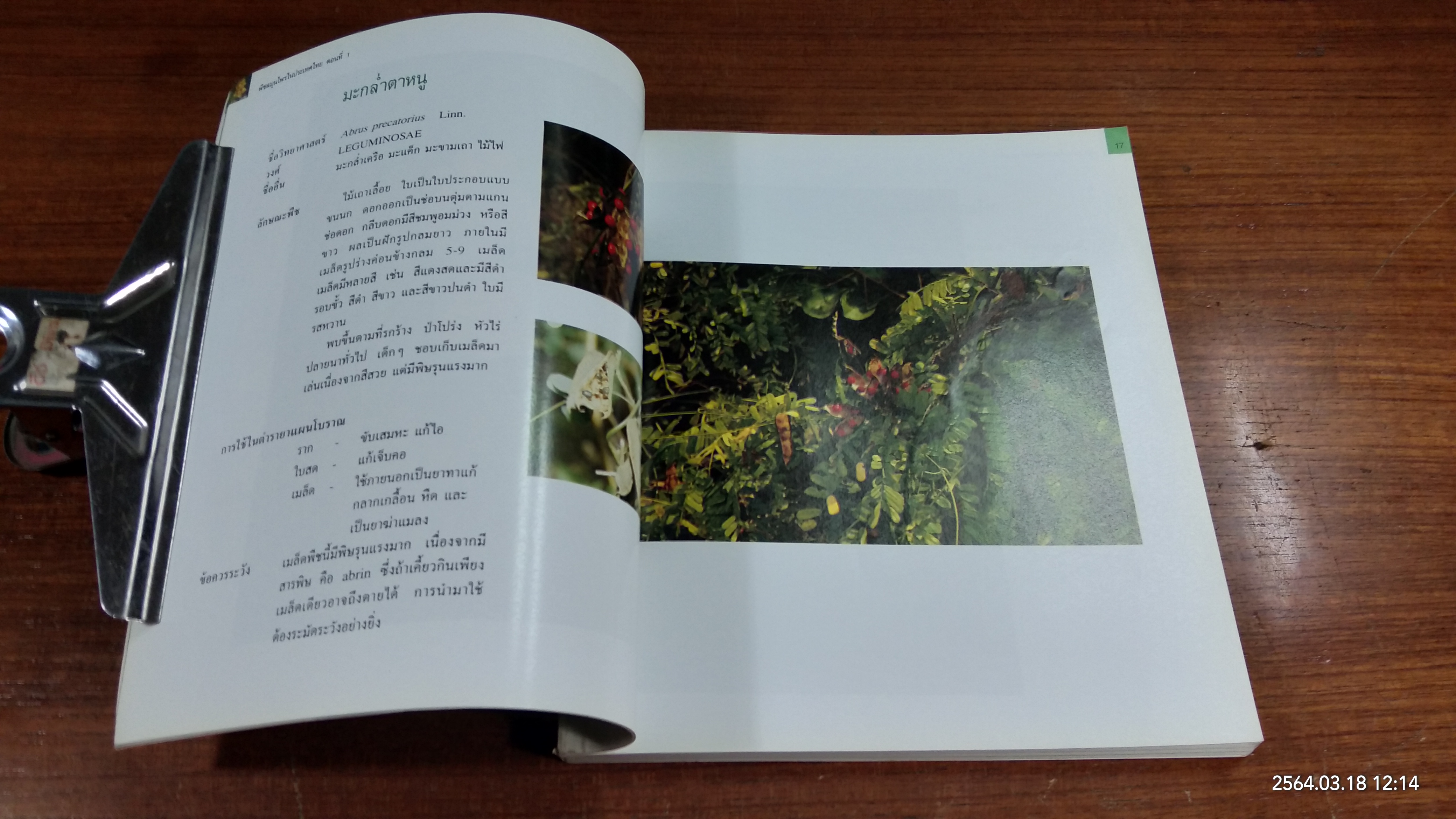 อนุสรณ์ในงานฌาปนกิจศพ คุณแม่เปี๊ยะ แซ่เอี๊ยะ