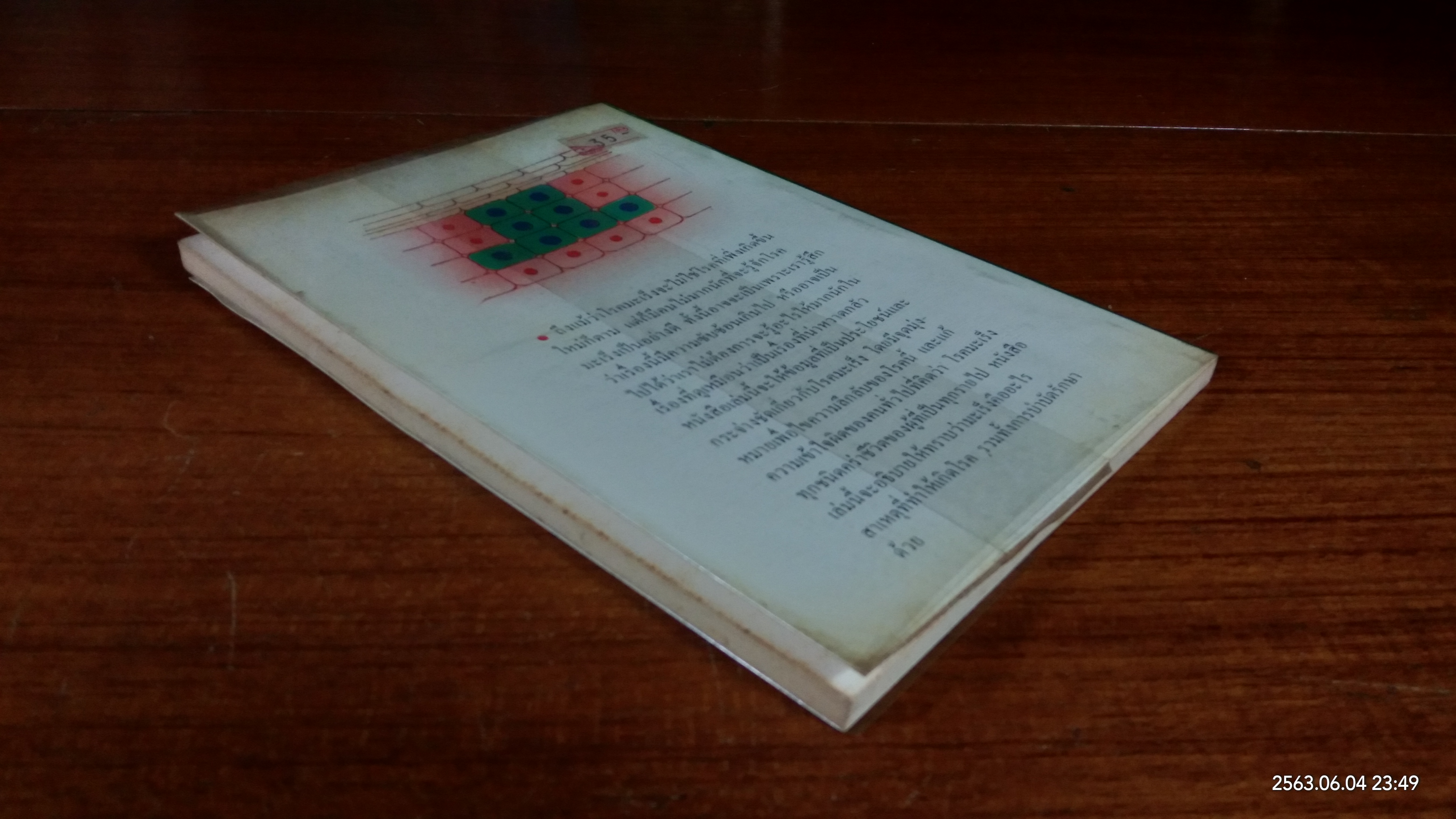 โรคมะเร็ง มหันตภัยร้ายของมนุษย์ / เรณู สุเสวี แปล