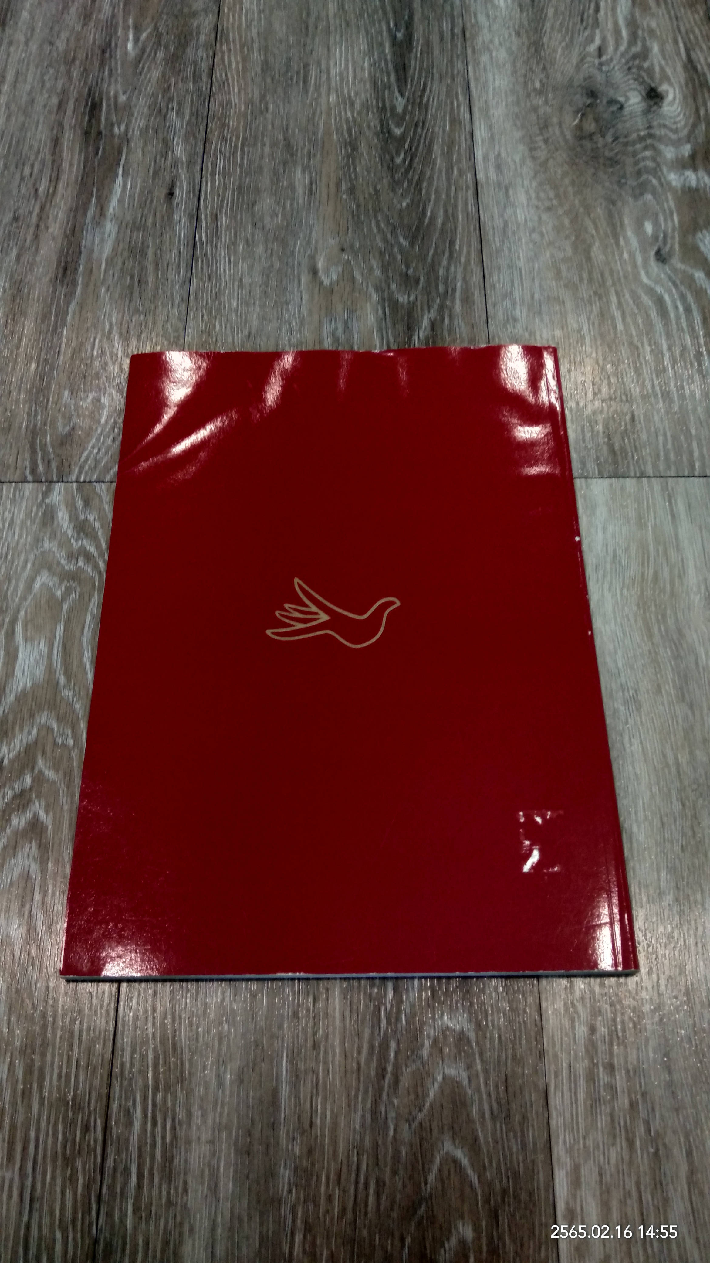 บันทึกการแสดงนิทรรศการศิลปกีบสังคม ๒๕๔๔ รางวัลมนัส เศียรสิงห์ "แดง"