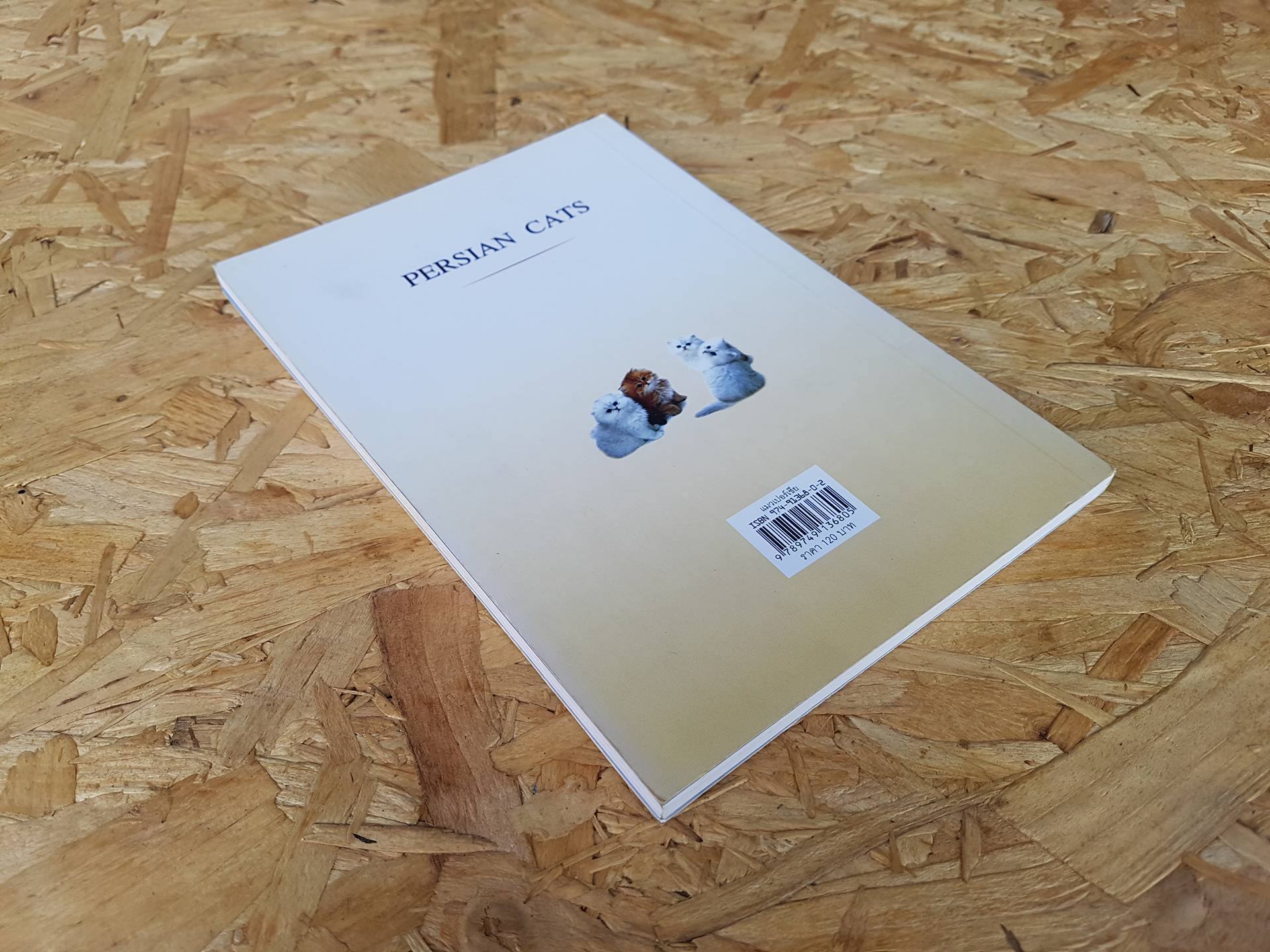 แมวเปอร์เซีย / เหมพันธ์ เหมวรนันท์